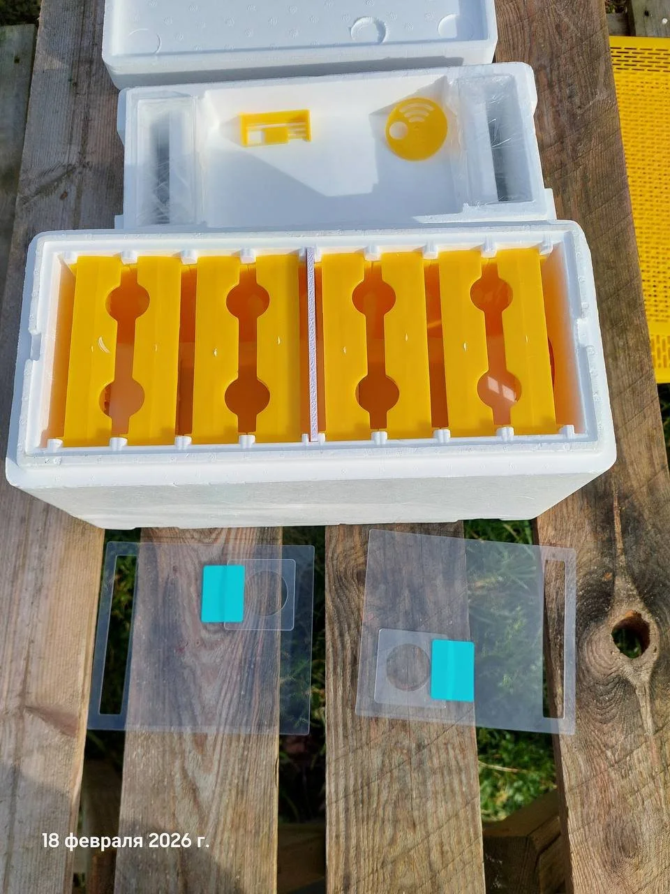 photo_2026-04-23_21-24-04 - Copy.jpg