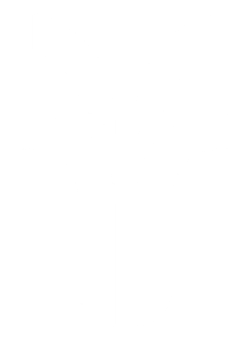 A black and white logo with abstract shapes resembling stylized plants or fountains.