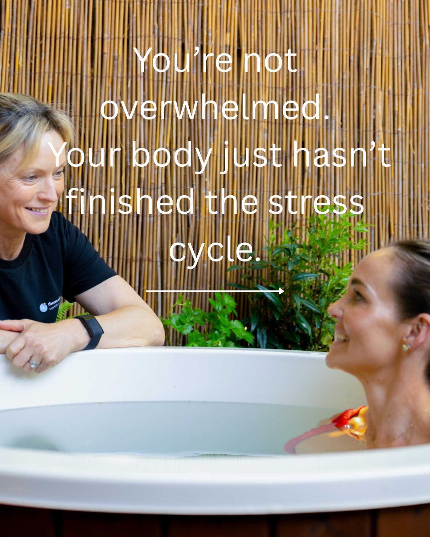 Your body doesn&rsquo;t need a stress-free life.

It needs a complete one.

Stress was never meant to stay.

It was meant to rise,
move through you,
and resolve.

But modern life interrupts that rhythm.

So the body keeps holding on&hellip;
waiting f