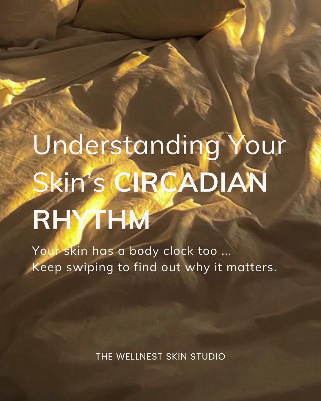 Your skin has a body clock. Are you listening to it?

Just like the rest of your body, your skin follows a 24-hour circadian rhythm - working hard in the day to protect you, and shifting gears at night to heal, repair and regenerate.

So if you&rsquo
