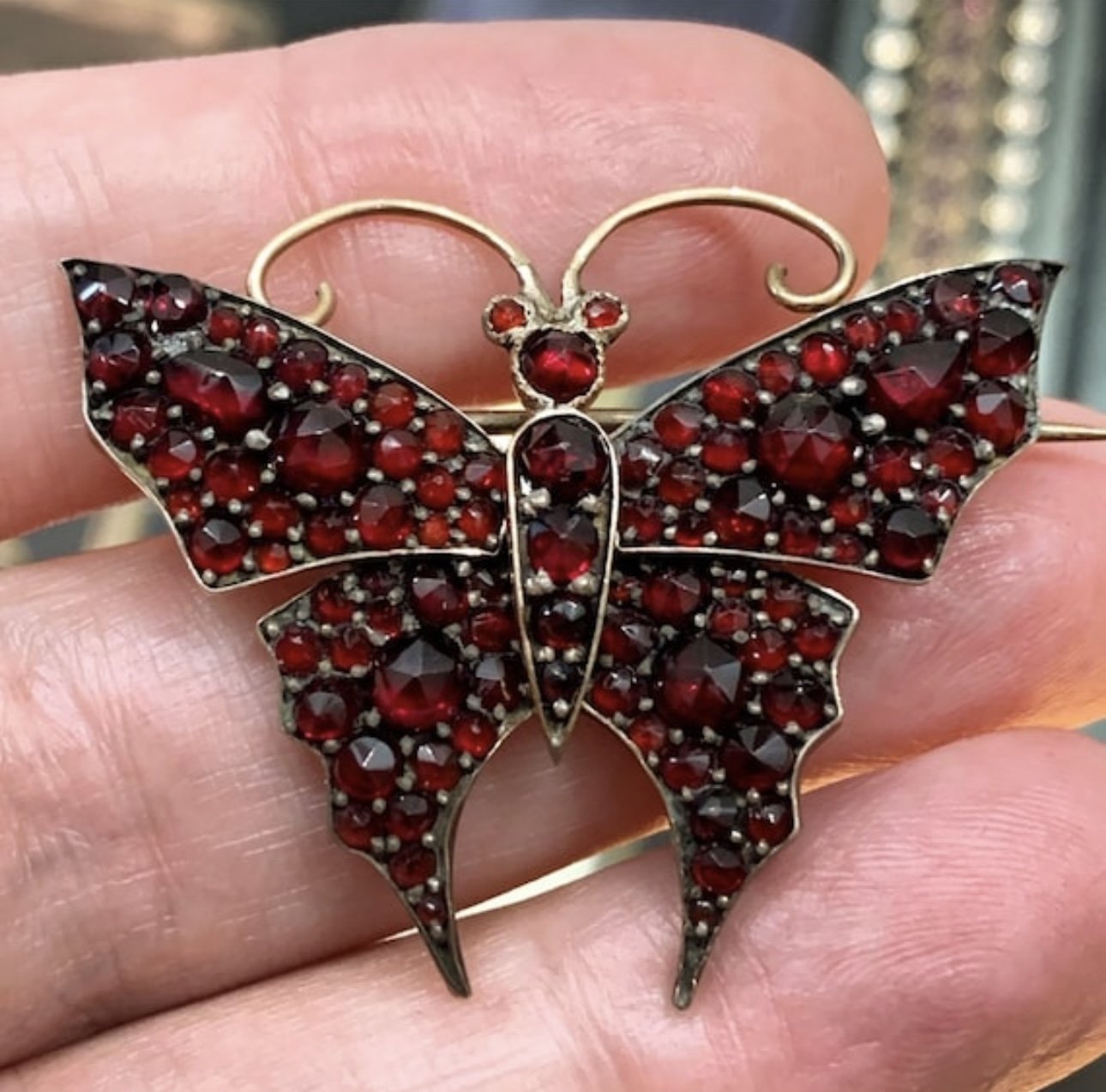 victorian garnet butterfly brooch