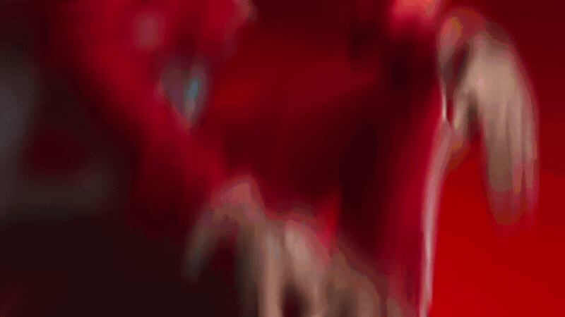2b648f246547453.69c6b78a9b1a2.gif