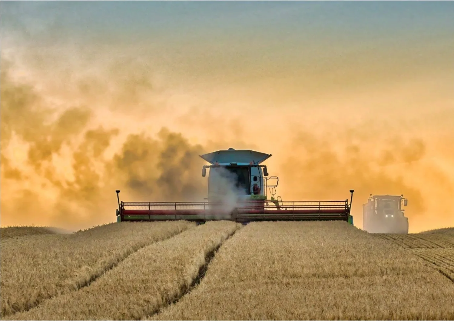 Combine+Harvest+26.3.jpg