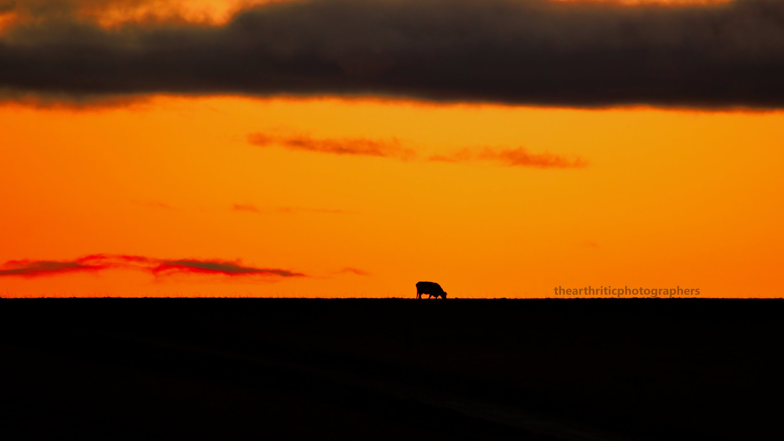 All Alone
. Wiltshire.
