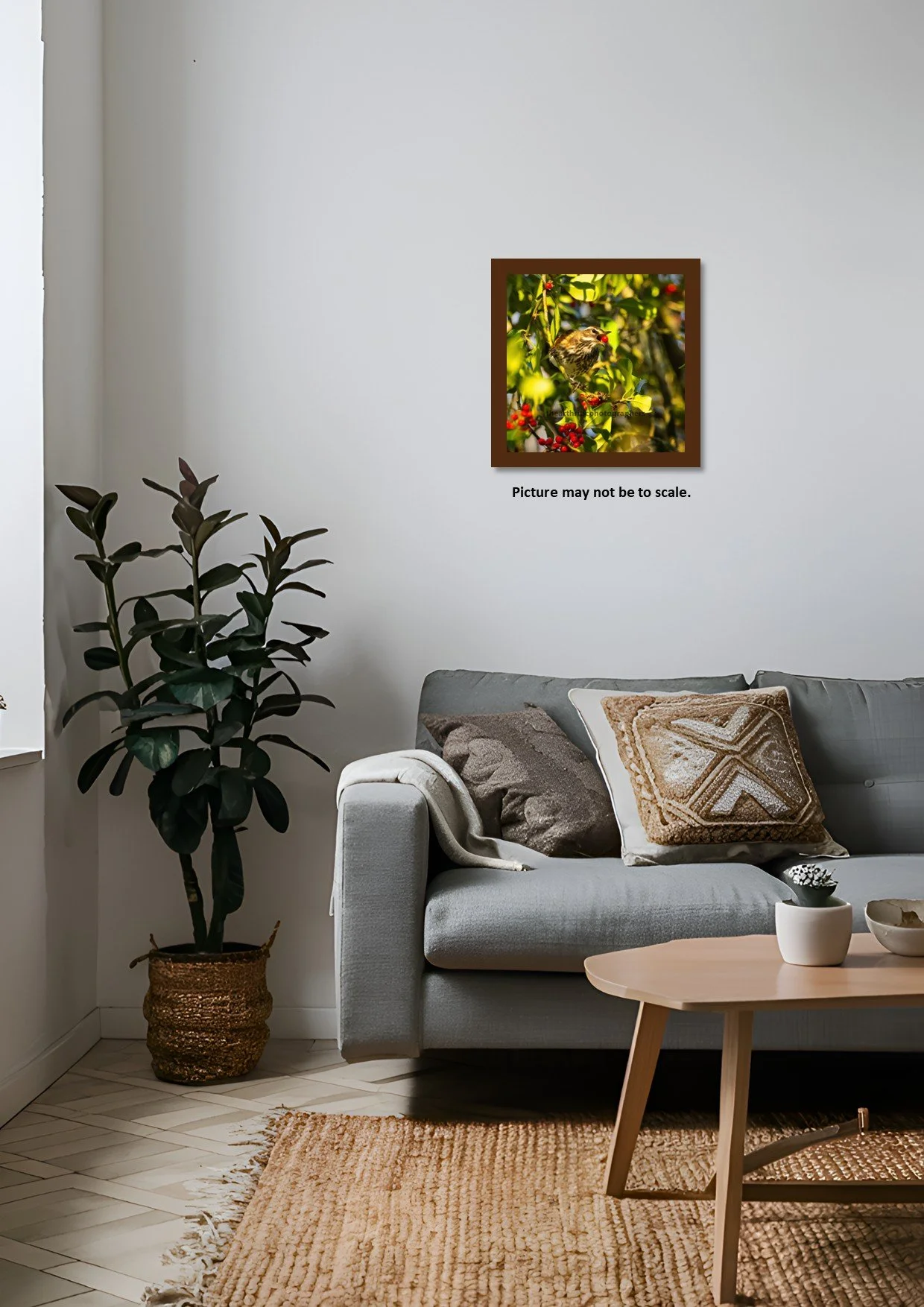 Red Wing Feeding3.jpg