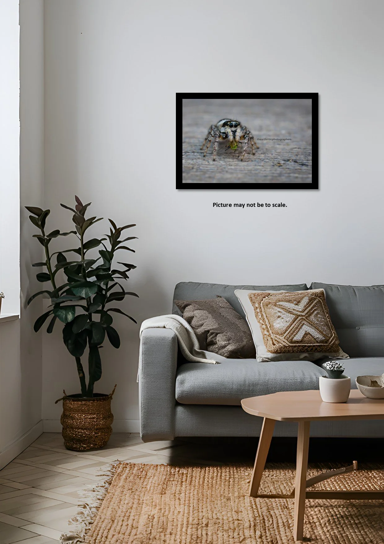 Zebar Spiders Lunch3.jpg