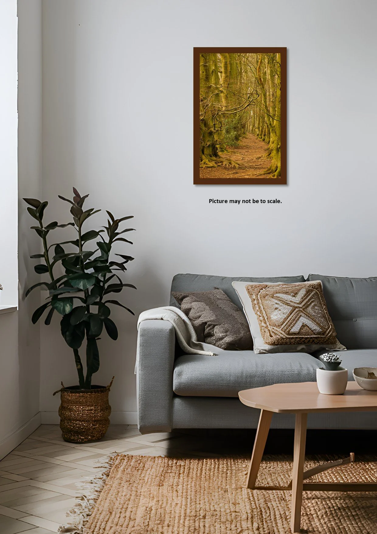 Tree Tunnel3 - Copy.jpg