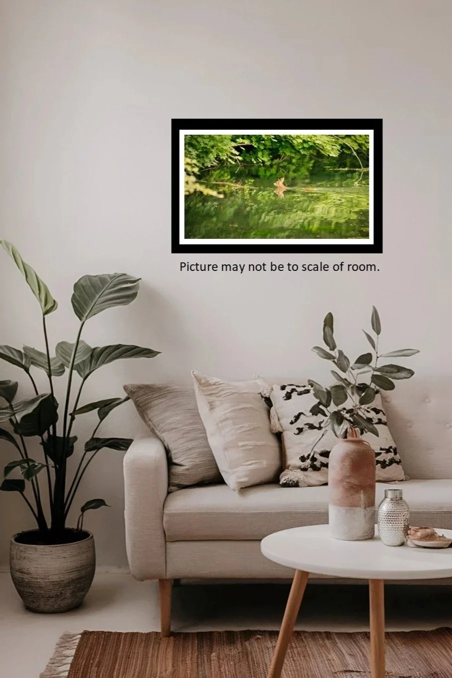 Wonderful image of a male Roe deer swimming across a stream. Reflections of the deer and the overhead trees in the water, a rare sight to behold. Pictured framed in a room mockup.