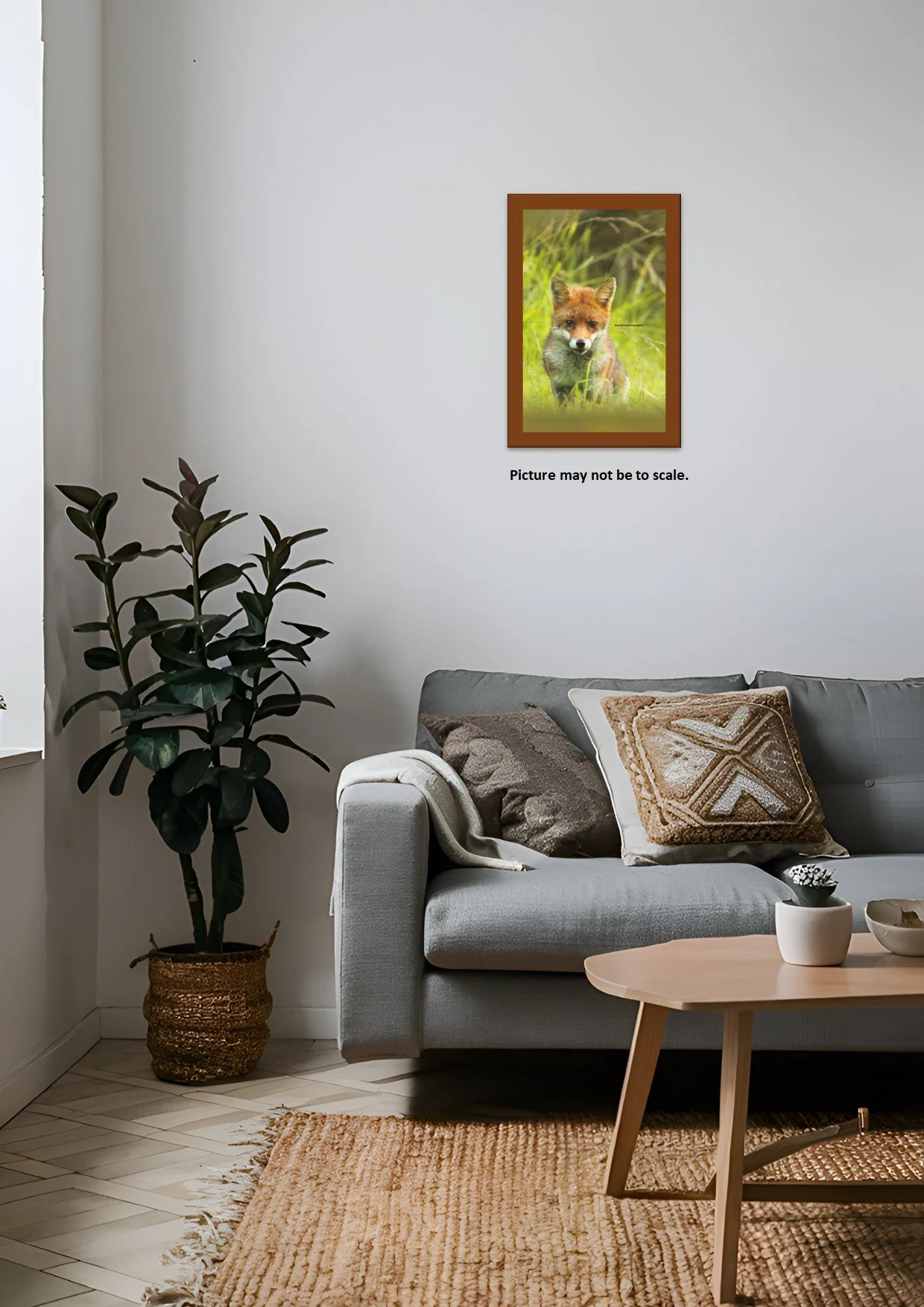 Fox On A Wild Walk3.jpg