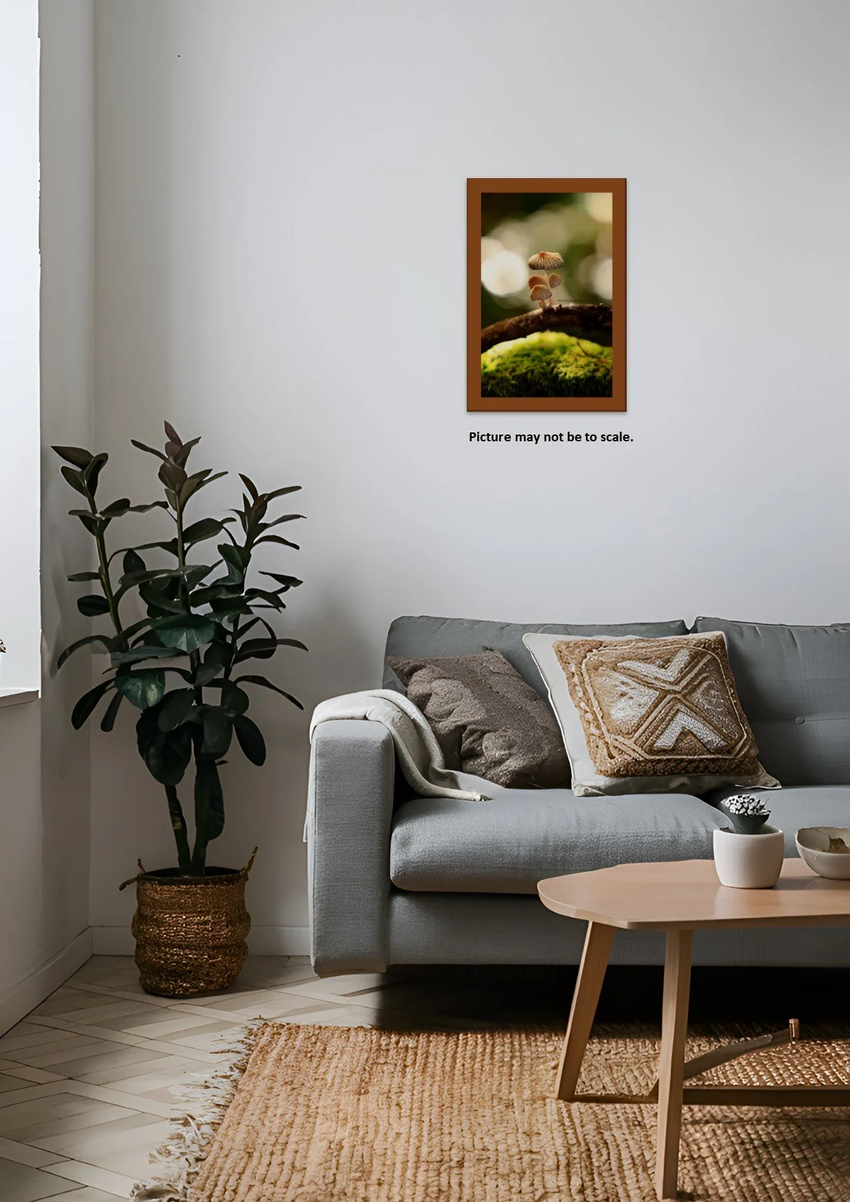 Fungi In the Spotlight3.jpg