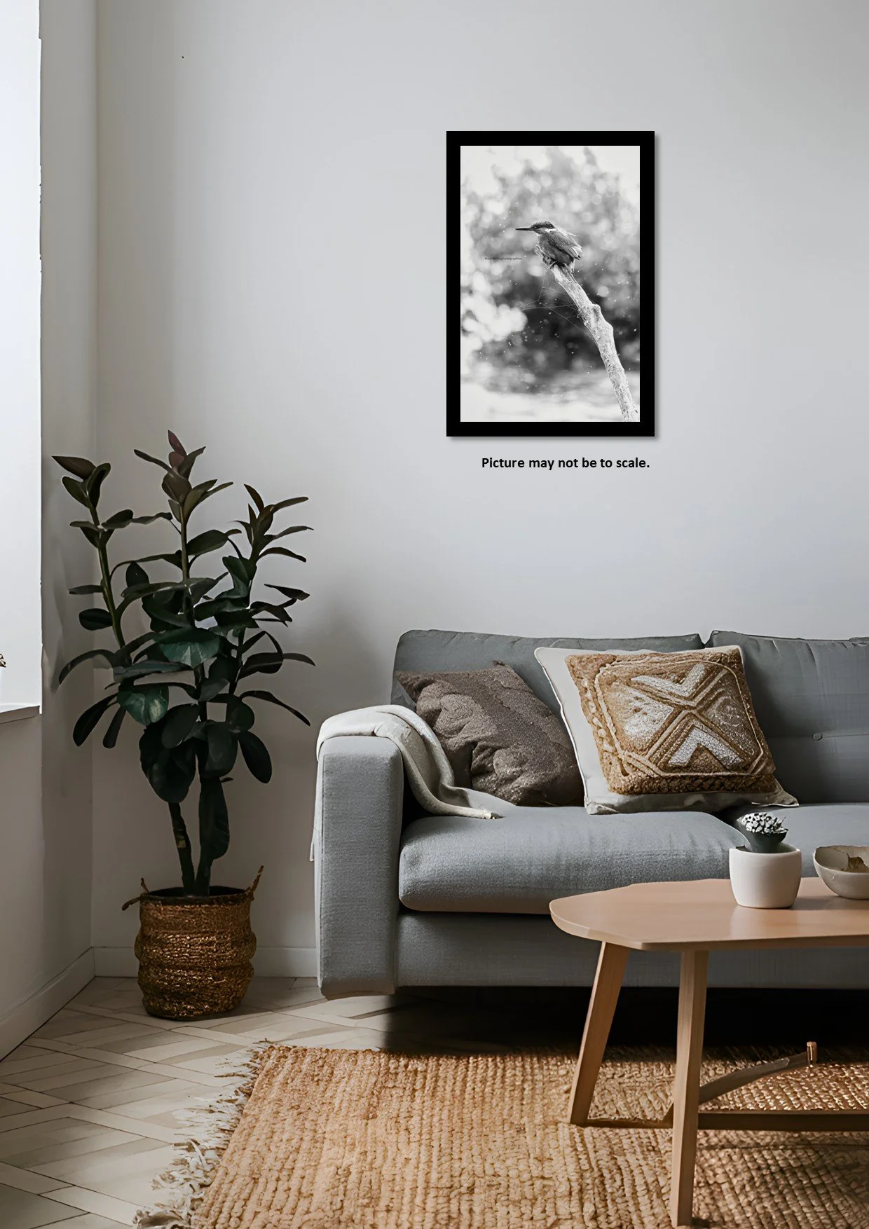 The Weather King3.jpg