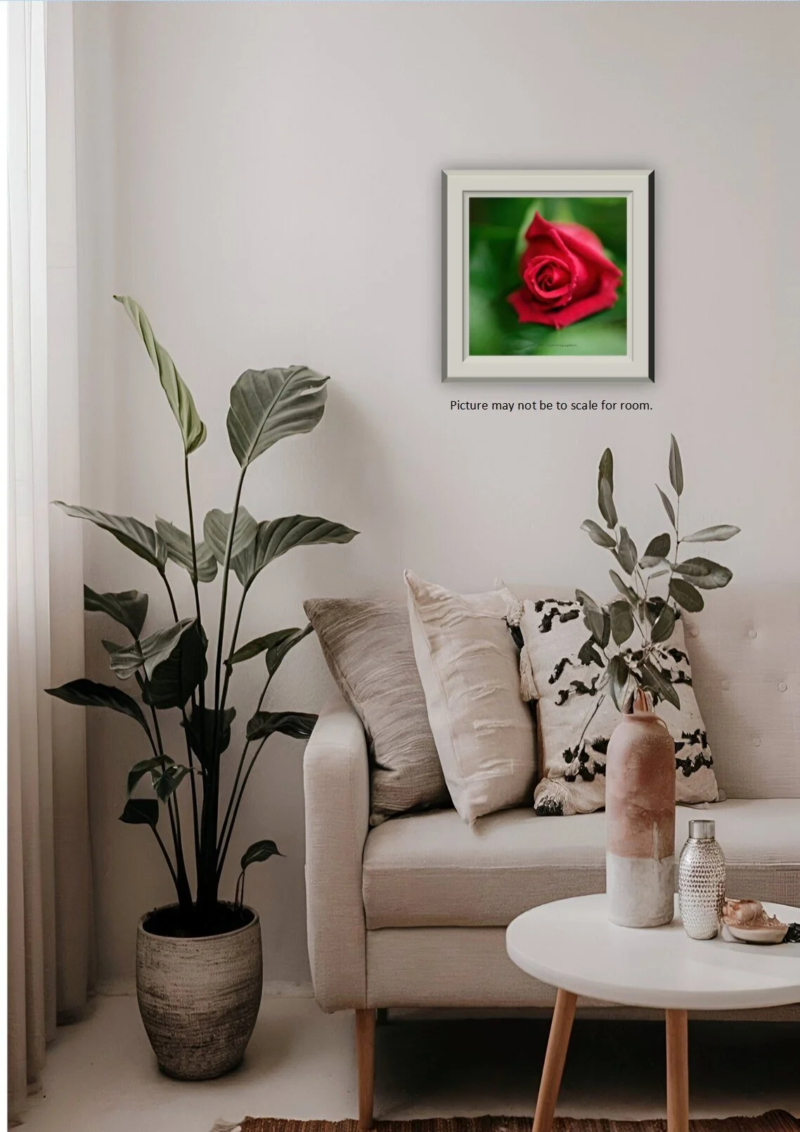 Red Rose2.jpg