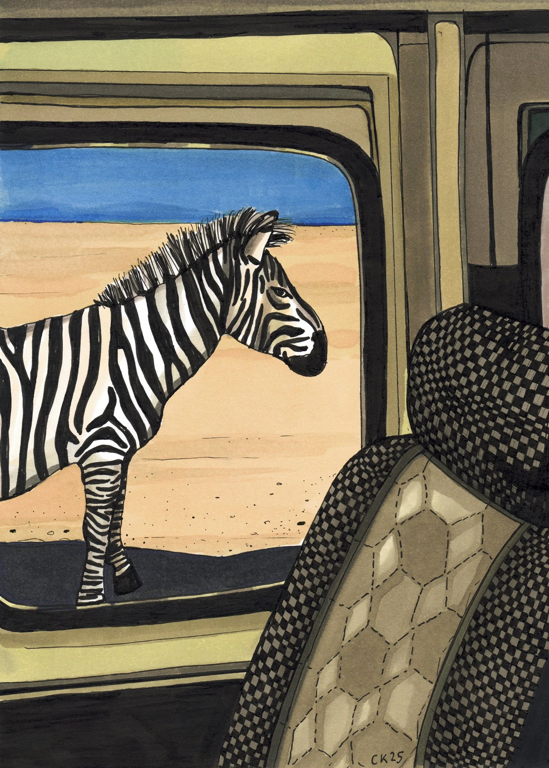 zebre-safari_encre-alcool_2025_cecile-krahenbuhl_illustration-web.jpg
