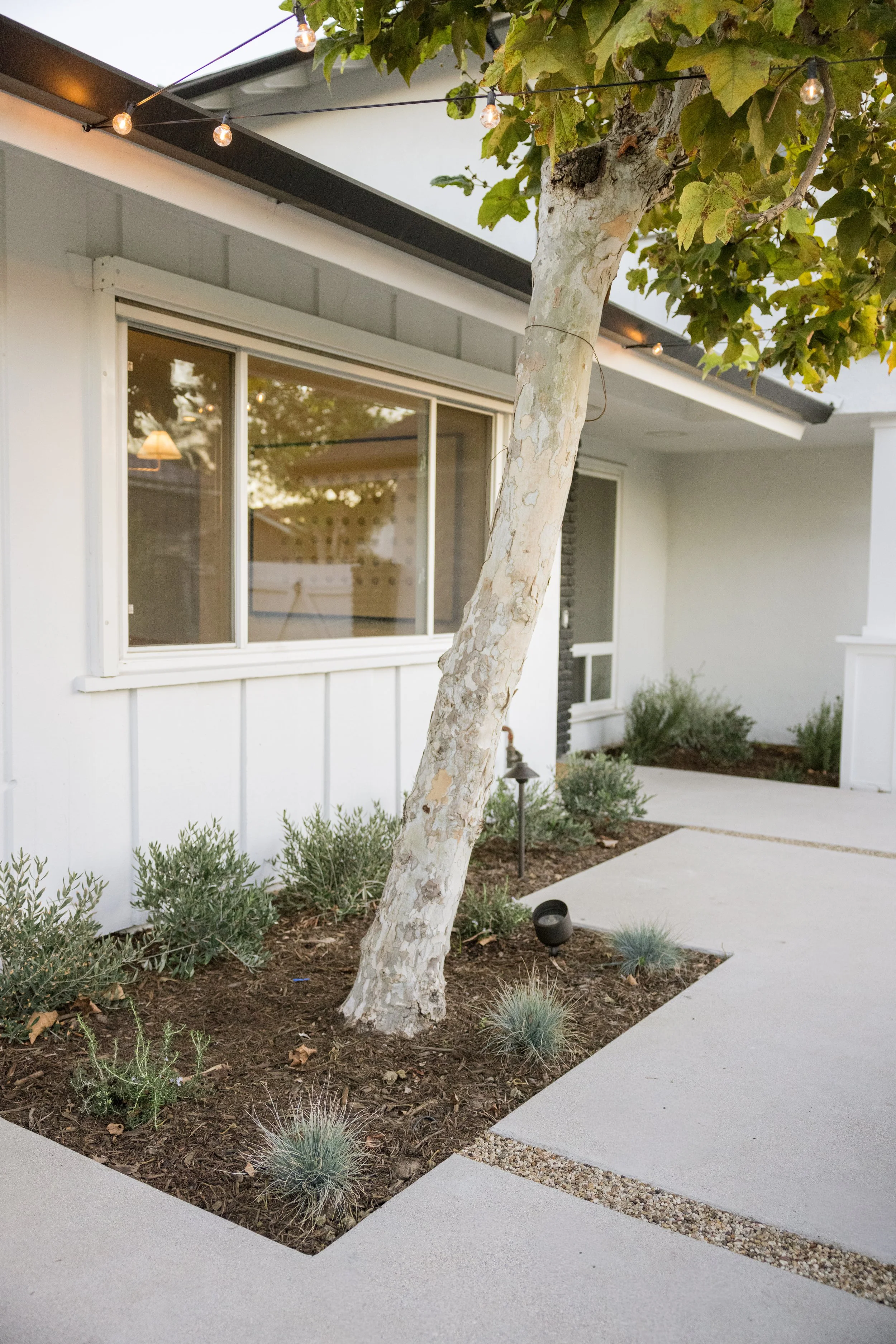 karissaferrerphotography-branding-orangecounty-casabuildgroup-costamesa-17.jpg