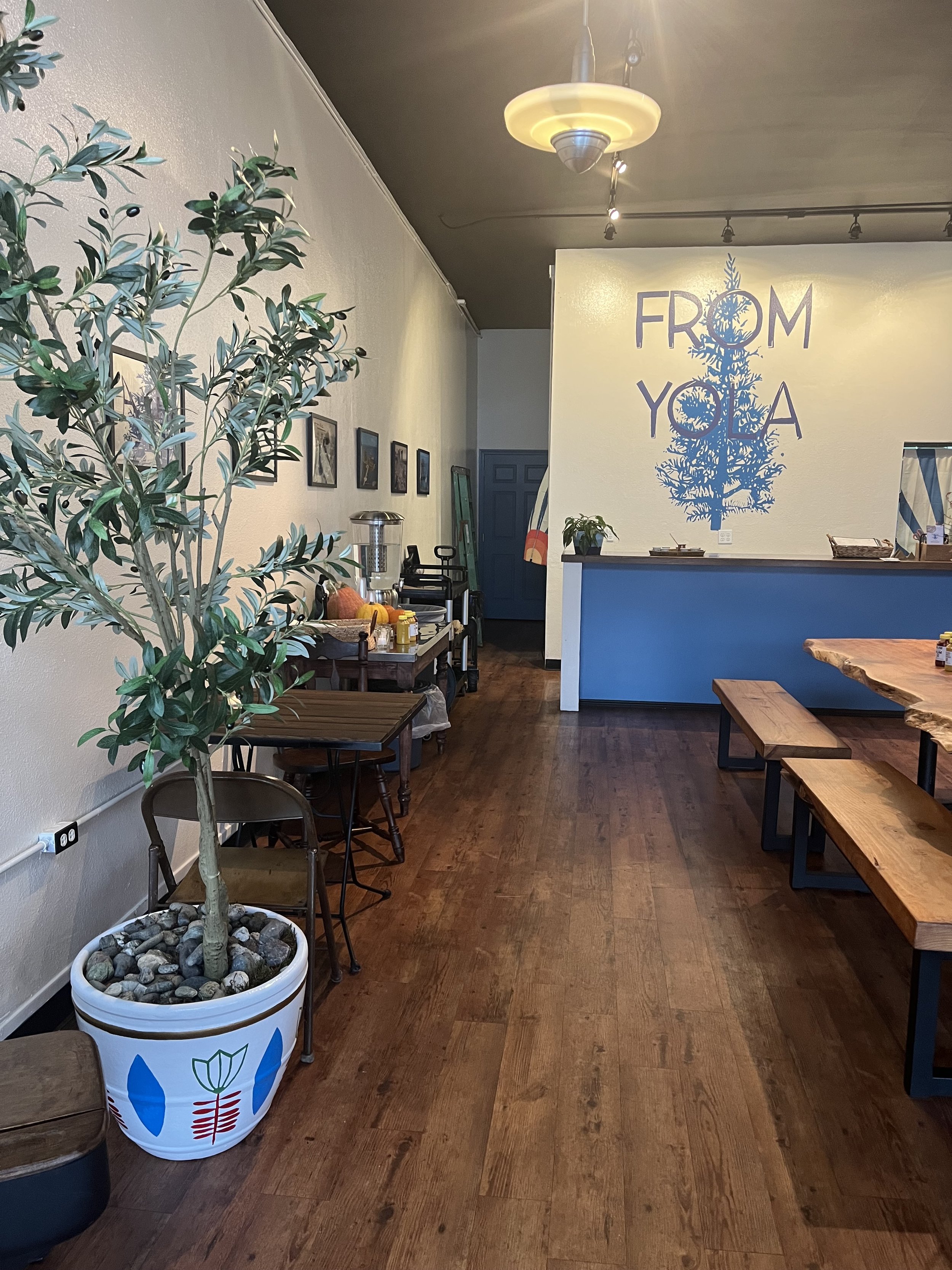 From Yola Logo Mural and Custom Pot
2025
Shelton, WA