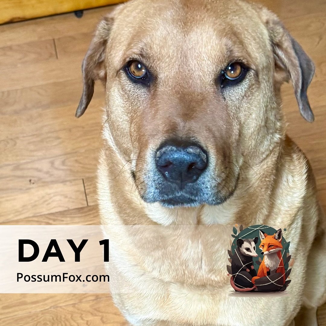 Did you know our tallow-based skincare isn&rsquo;t just for humans? It turns out our four-legged friends can benefit too&mdash;just ask Cooper (aka the best dog in the world). 

Cooper struggles with seasonal allergies, just like many of us do. His s