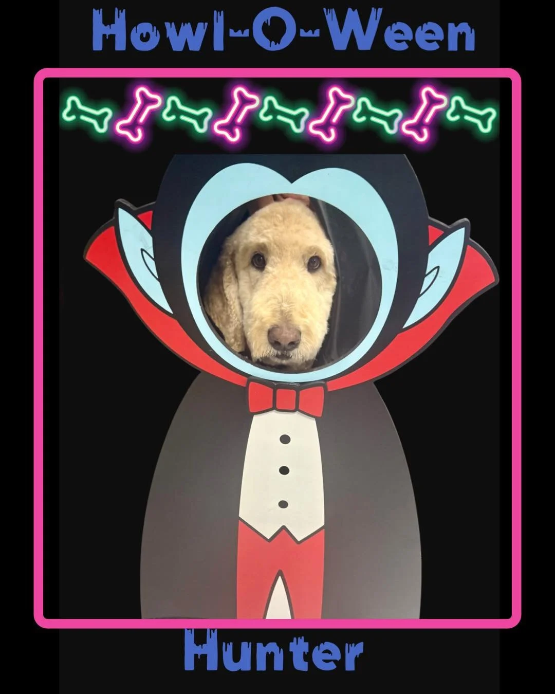 Hunter is sinking his teeth into the Howl-O-Ween fun! 
He may look like a creature of the night, but this pup is all sweetness and no bite. 
Don’t forget! Join us in costume anytime before 3pm October 31st to snap your pet’s photo and e