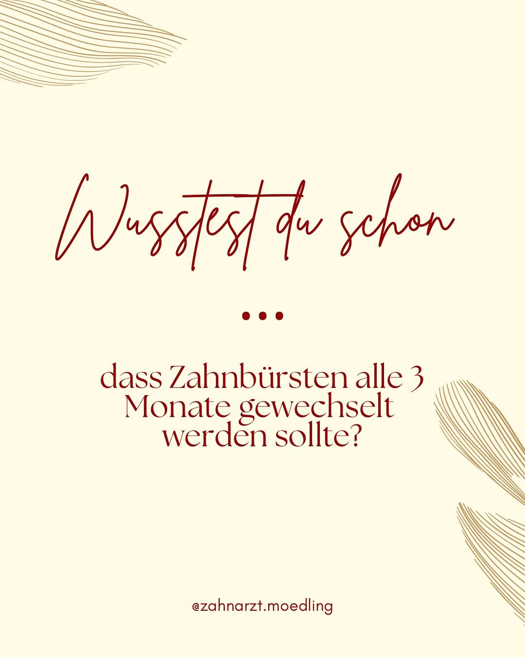 Wusstest du, dass man die Zahnb&uuml;rste alle 3 Monate wechseln sollte?
So bleiben deine Z&auml;hne nicht nur sauber, sondern auch gesund! 🪥✨

#Kinderz&auml;hne #GesundeZ&auml;hne #ZahnpflegeF&uuml;rKinder #Zahngesundheit #Milchz&auml;hne #Kinderza