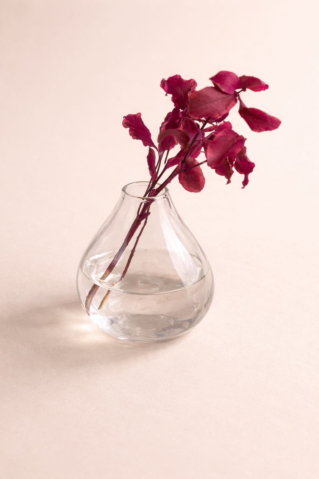 ChatGPT Image 1 mars 2026, 17_05_11.png