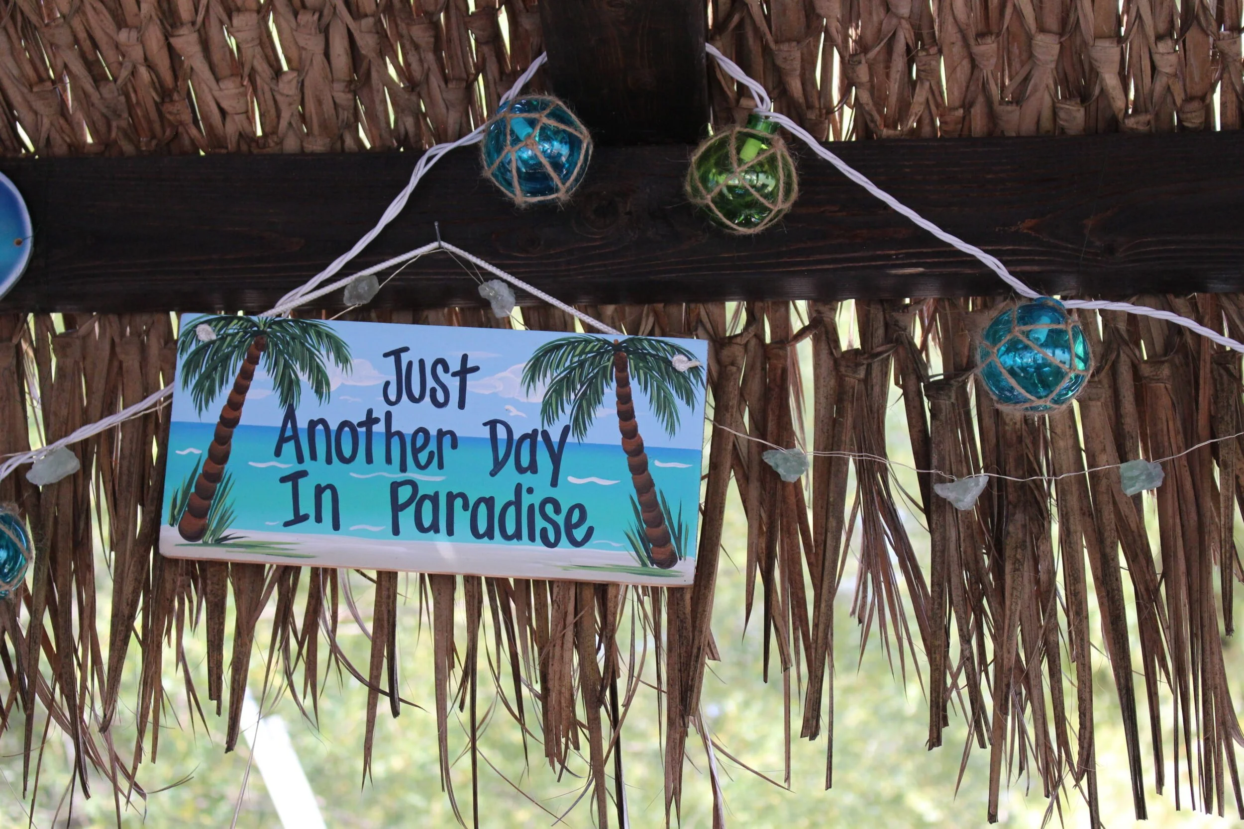 justanother day in paradise.jpg