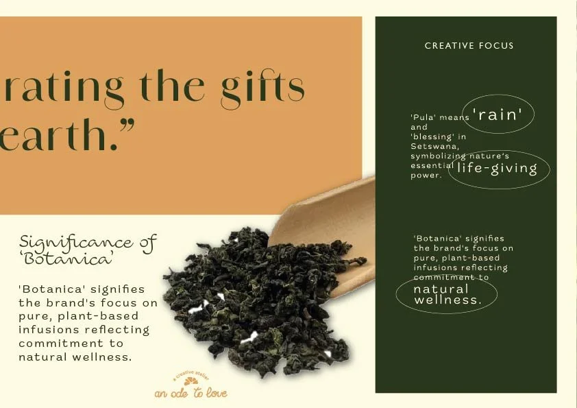 PB Portfolio rgb-02.jpg