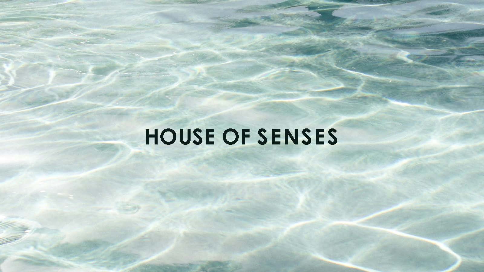HOUSE OF SENSES PORTFOLIO_Page_01.jpg