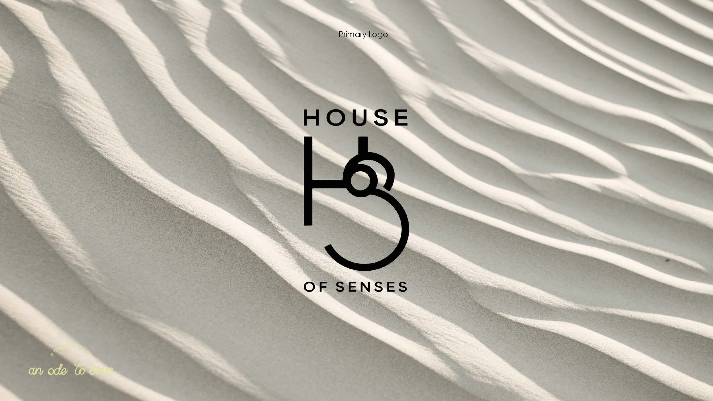 Close-up photos of the natural world of Australian represent the aesthetic of the brand direction for a natural skincare brand allowing a focus on the textures of the landscape and tying them to the textures of the product that is based on the 5 sens