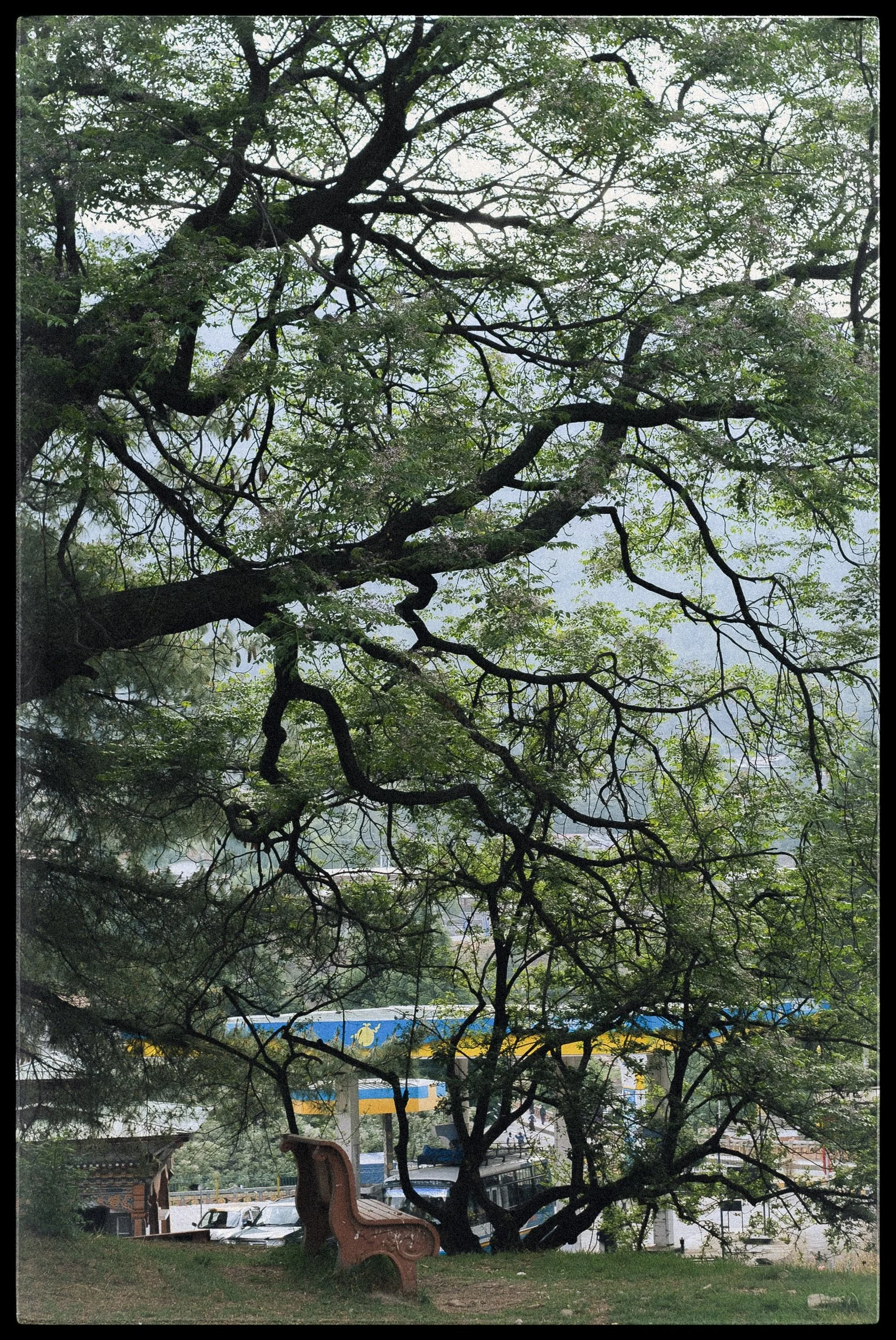 JPEG image-F87F1E542BB9-1.jpeg