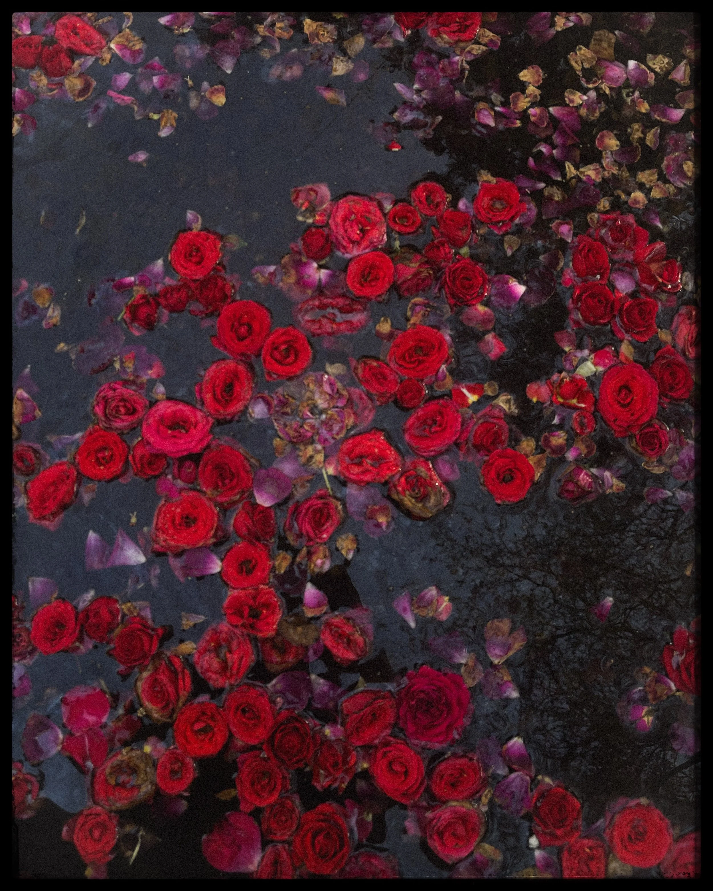 JPEG image-29141BEF4BD2-1.jpeg