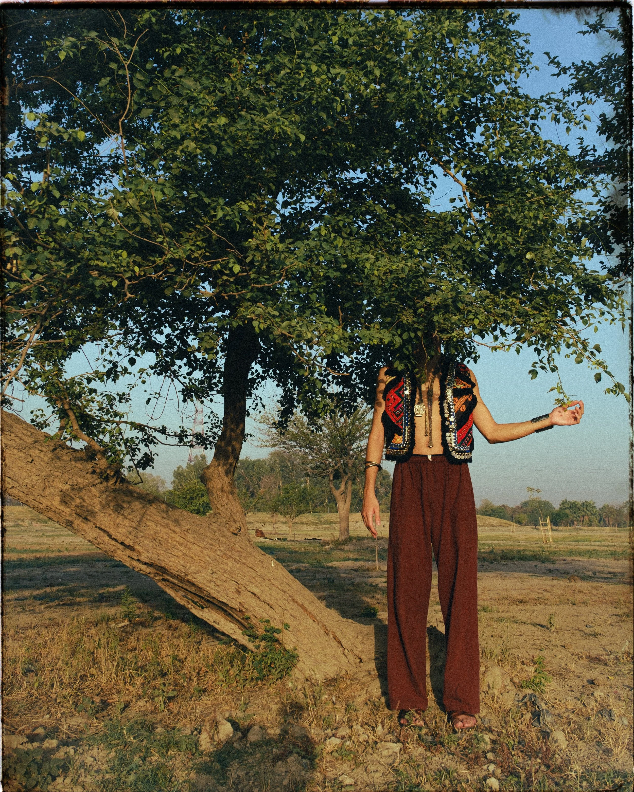 JPEG image-0CBDC5FD94A5-1.jpeg