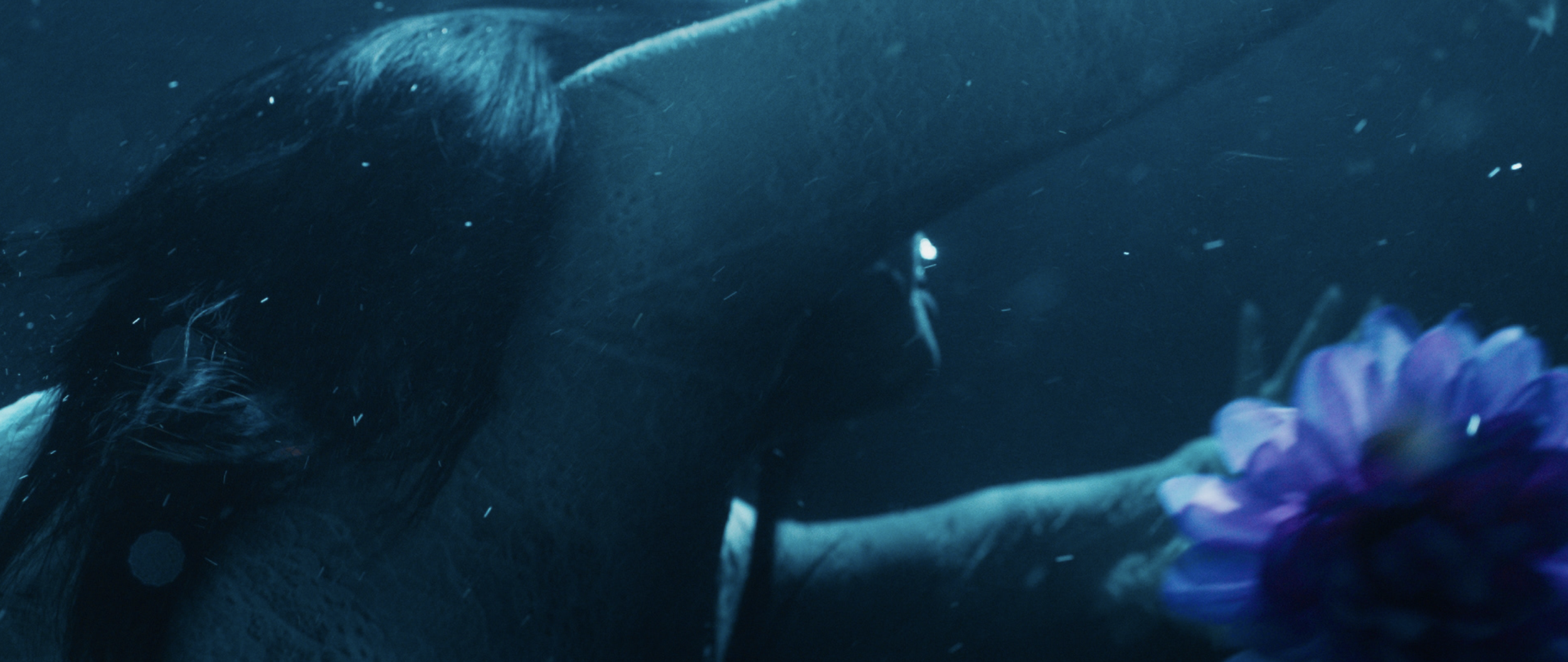 Screenshot 2024-12-08 at 6.11.16 PM.png