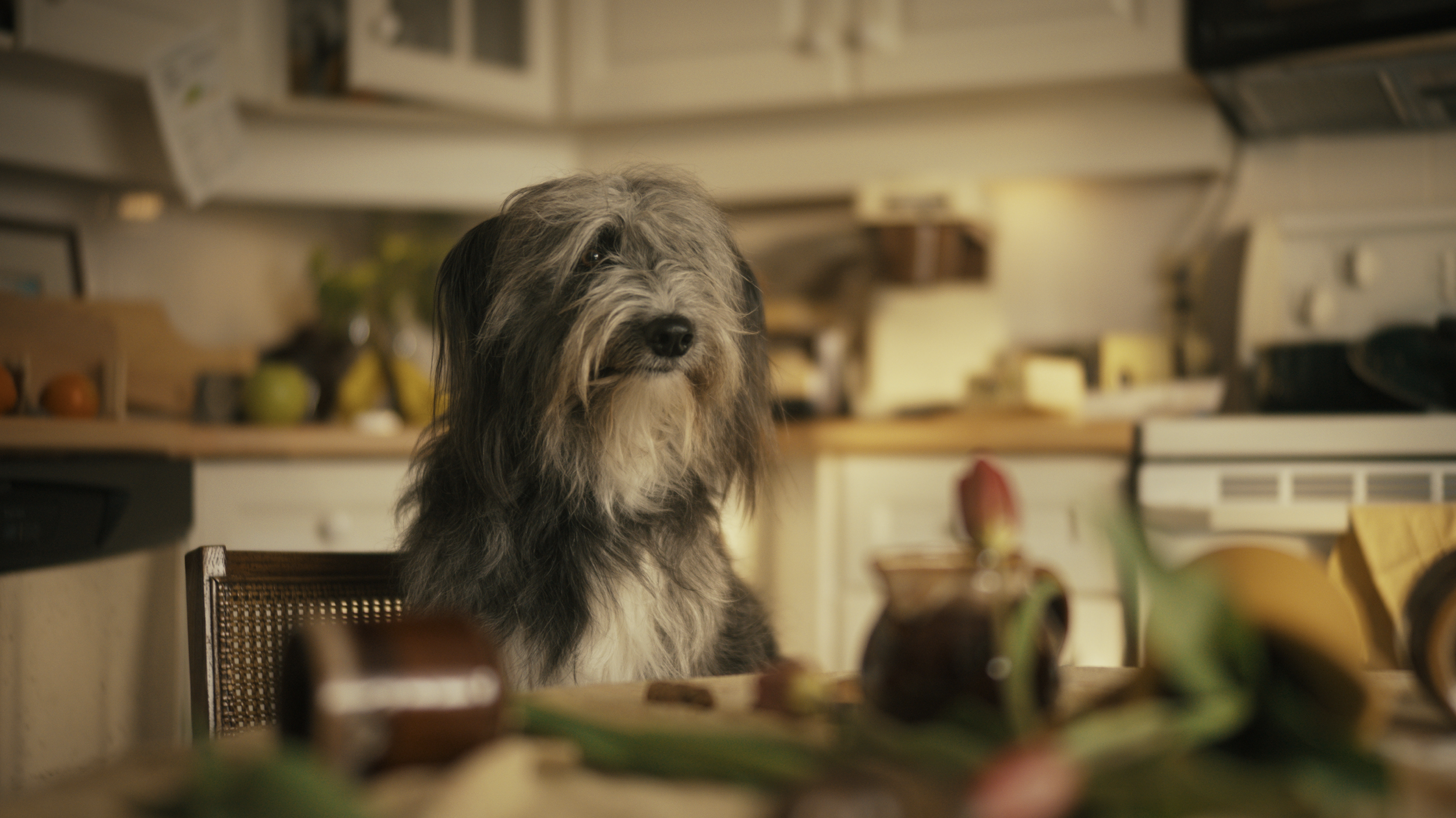 Screenshot 2024-12-08 at 4.49.40 PM.png