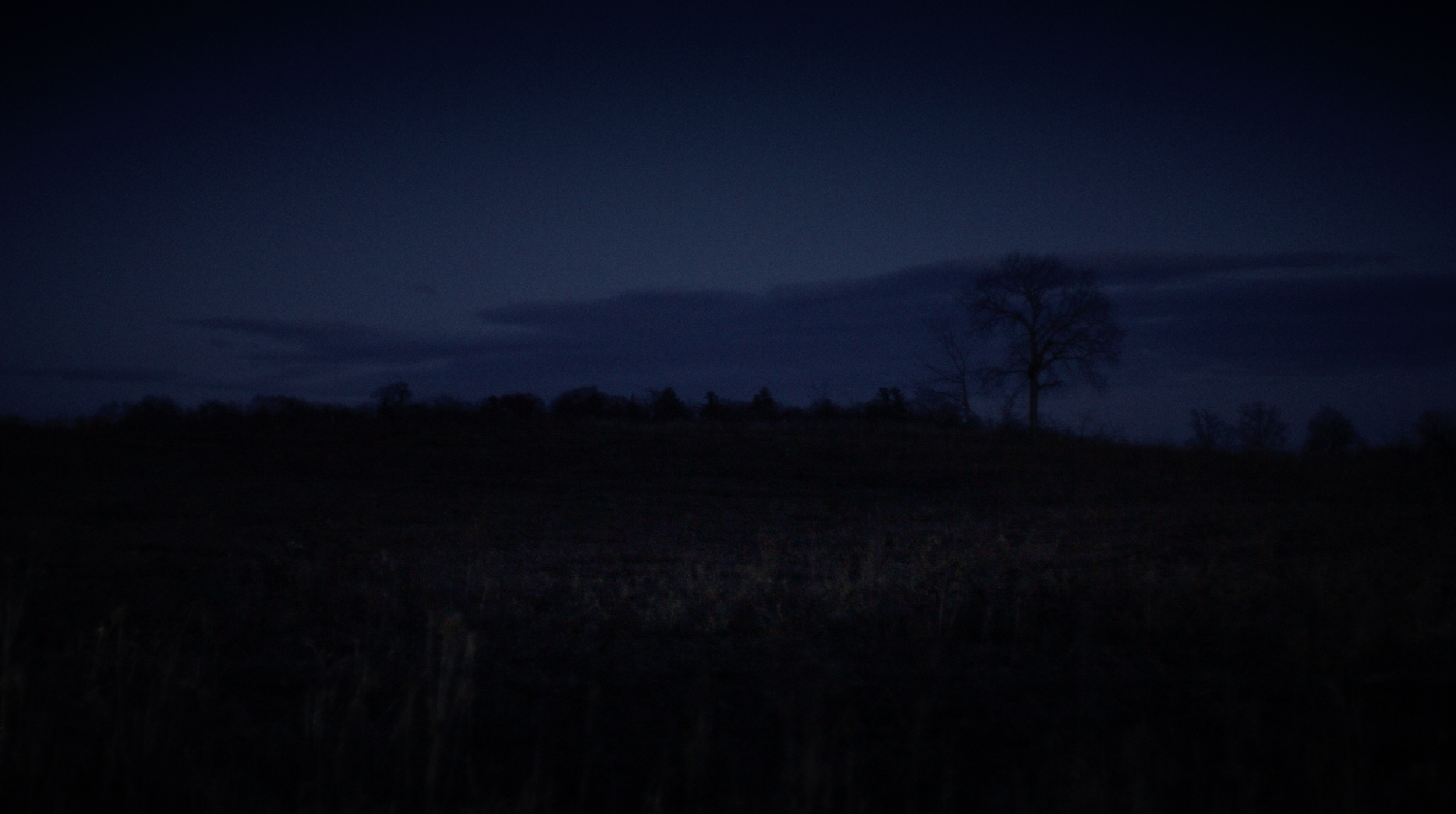 Screenshot 2024-09-04 at 1.41.32 PM.png