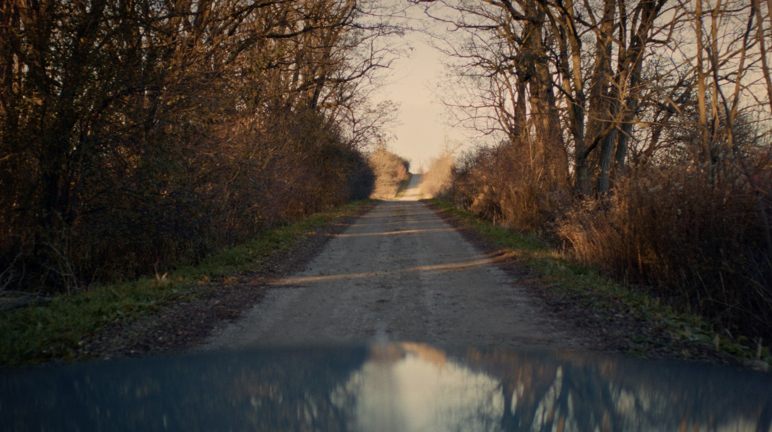 Screenshot 2024-09-04 at 1.36.15 PM.png