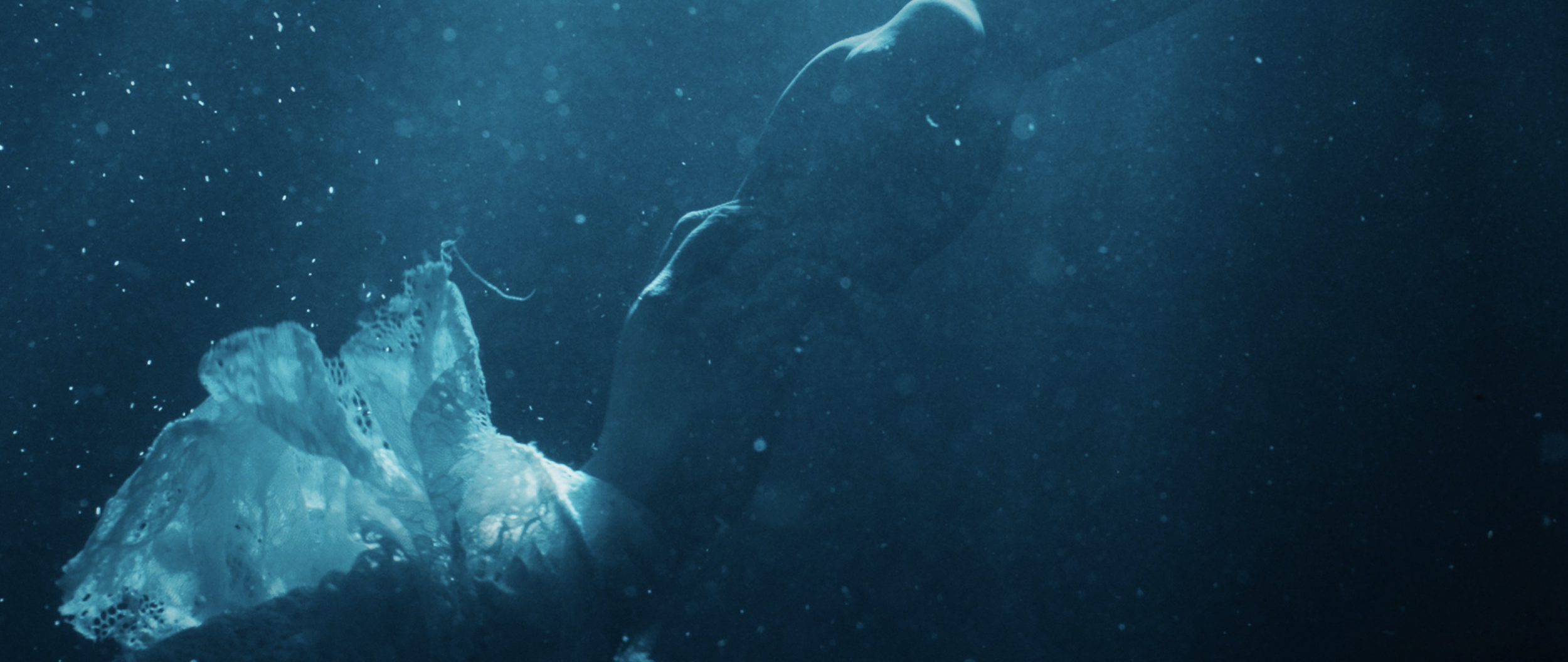 Screenshot 2024-12-08 at 6.11.13 PM.png