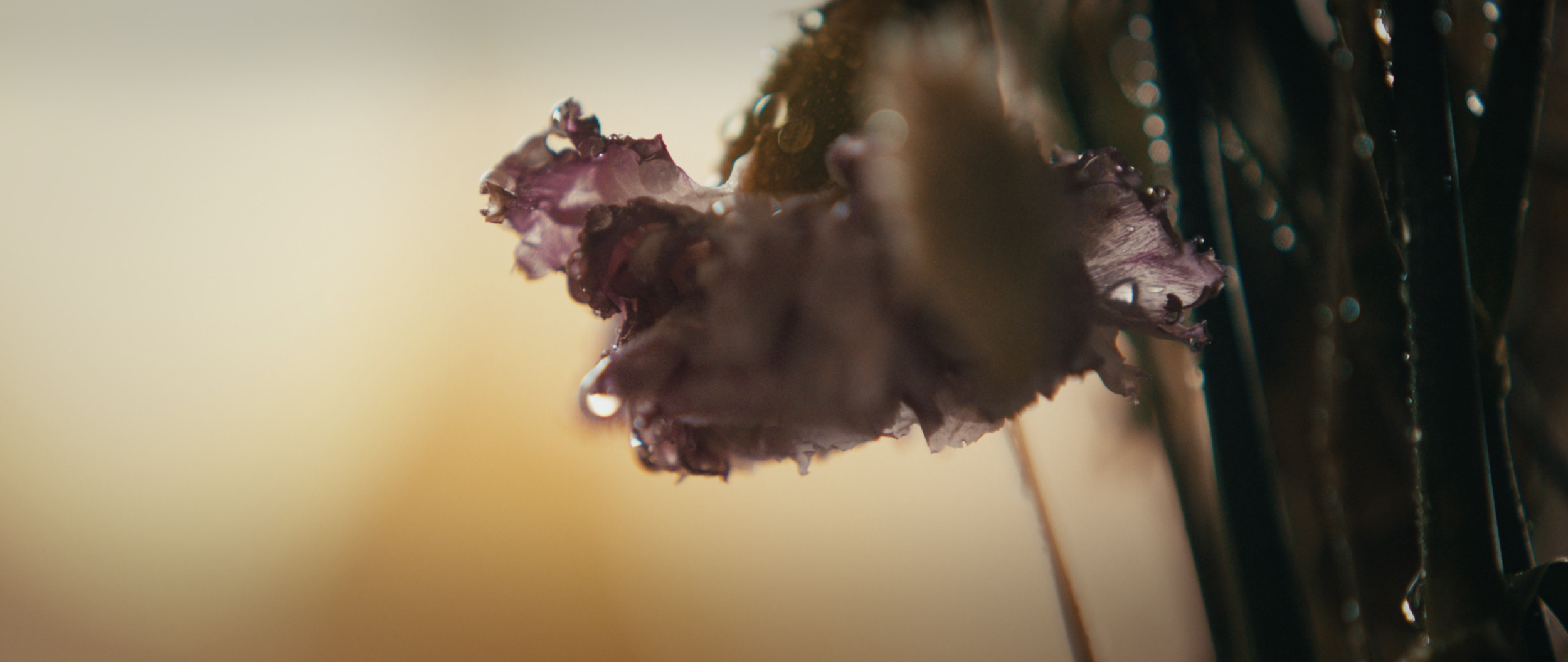 Screenshot 2024-12-08 at 6.11.24 PM.png