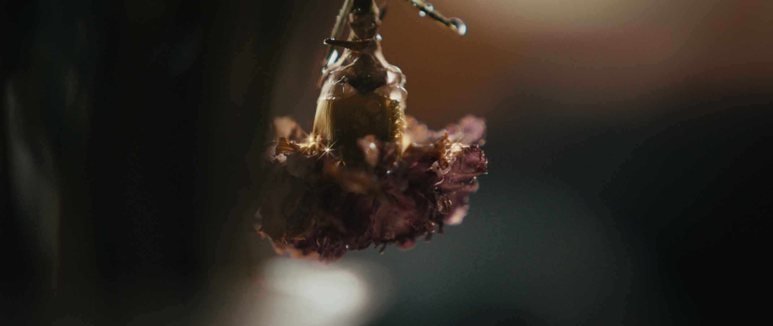 Screenshot 2024-12-08 at 6.11.26 PM.png