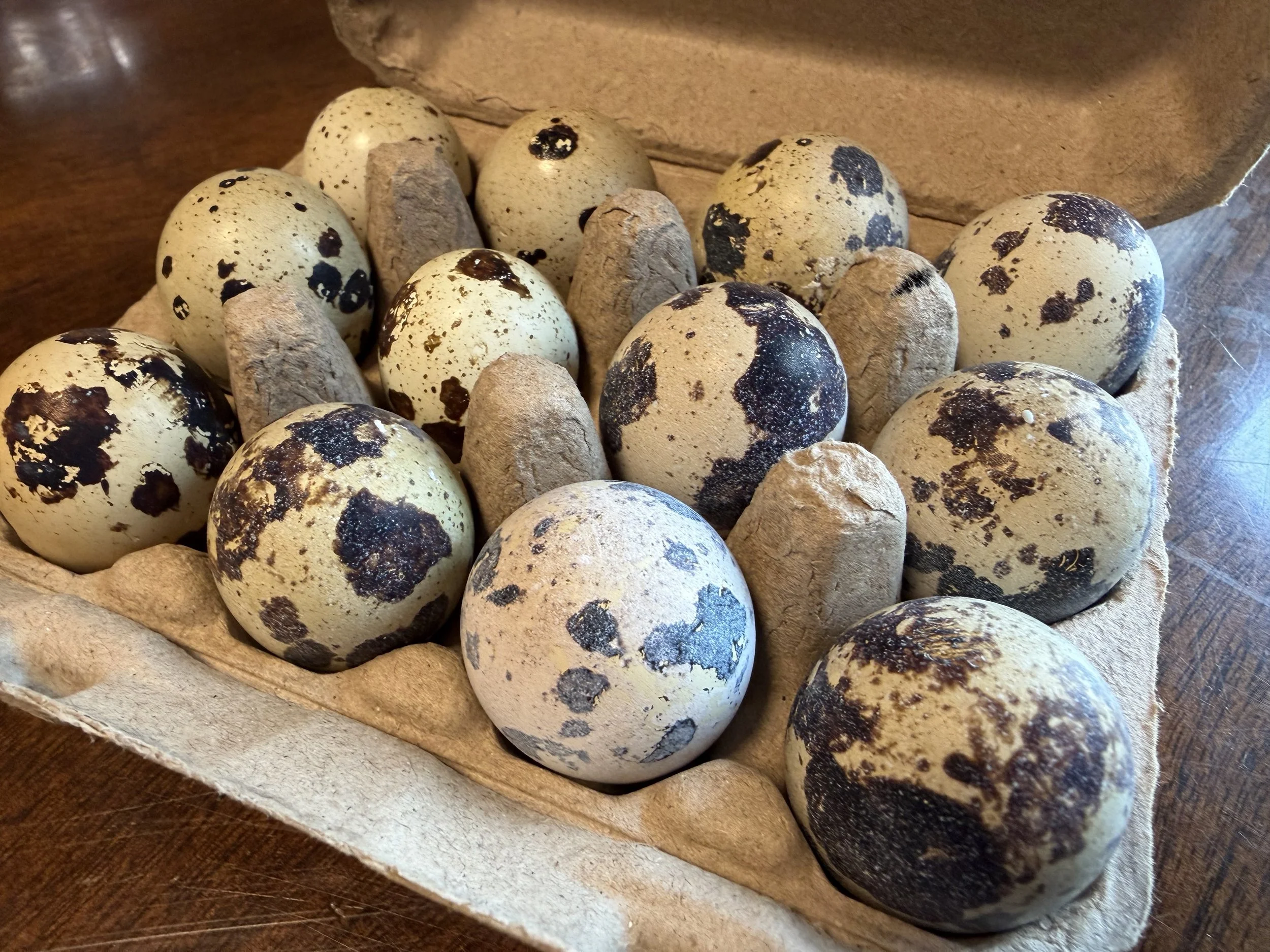 Quail Eggs - 12