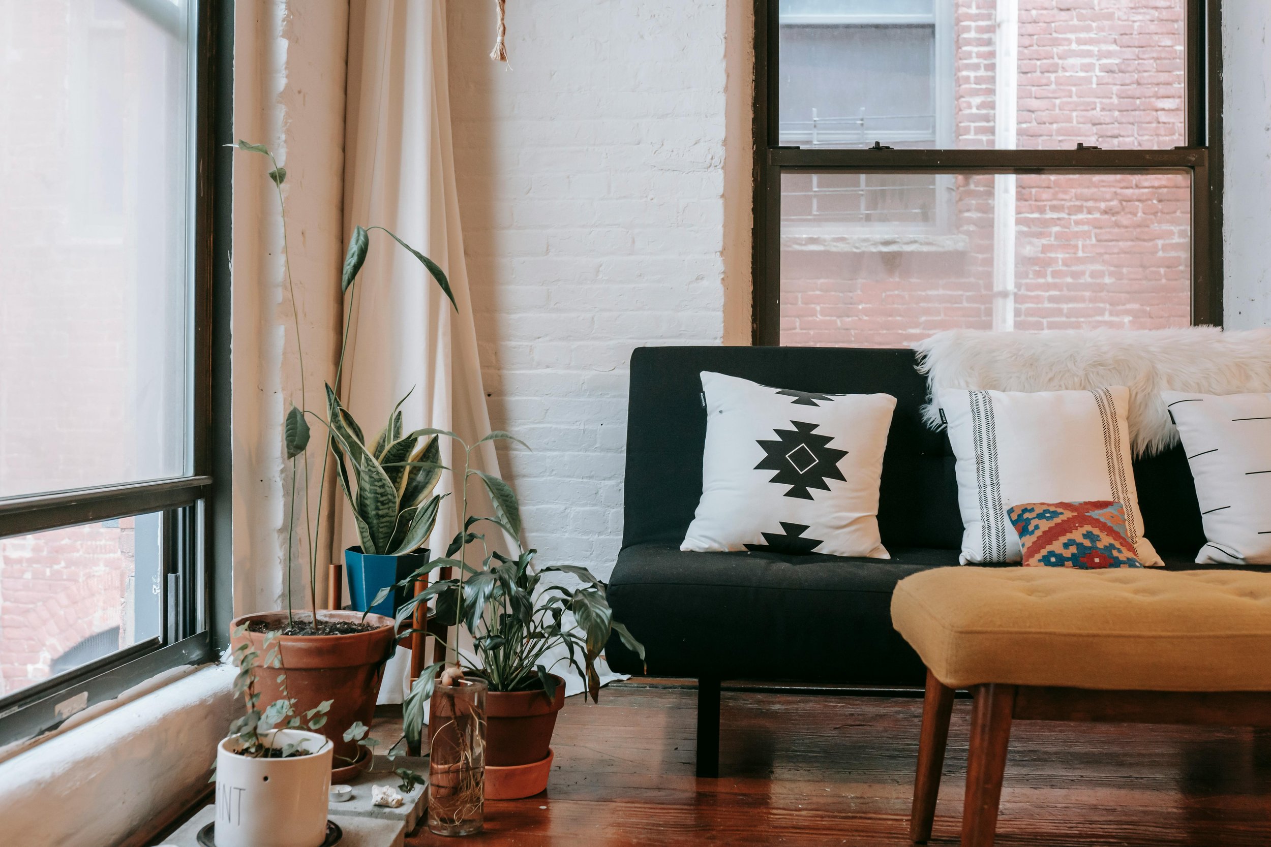Cozy living room corner with potted plants, patterned cushions on a black sofa, and large windows.