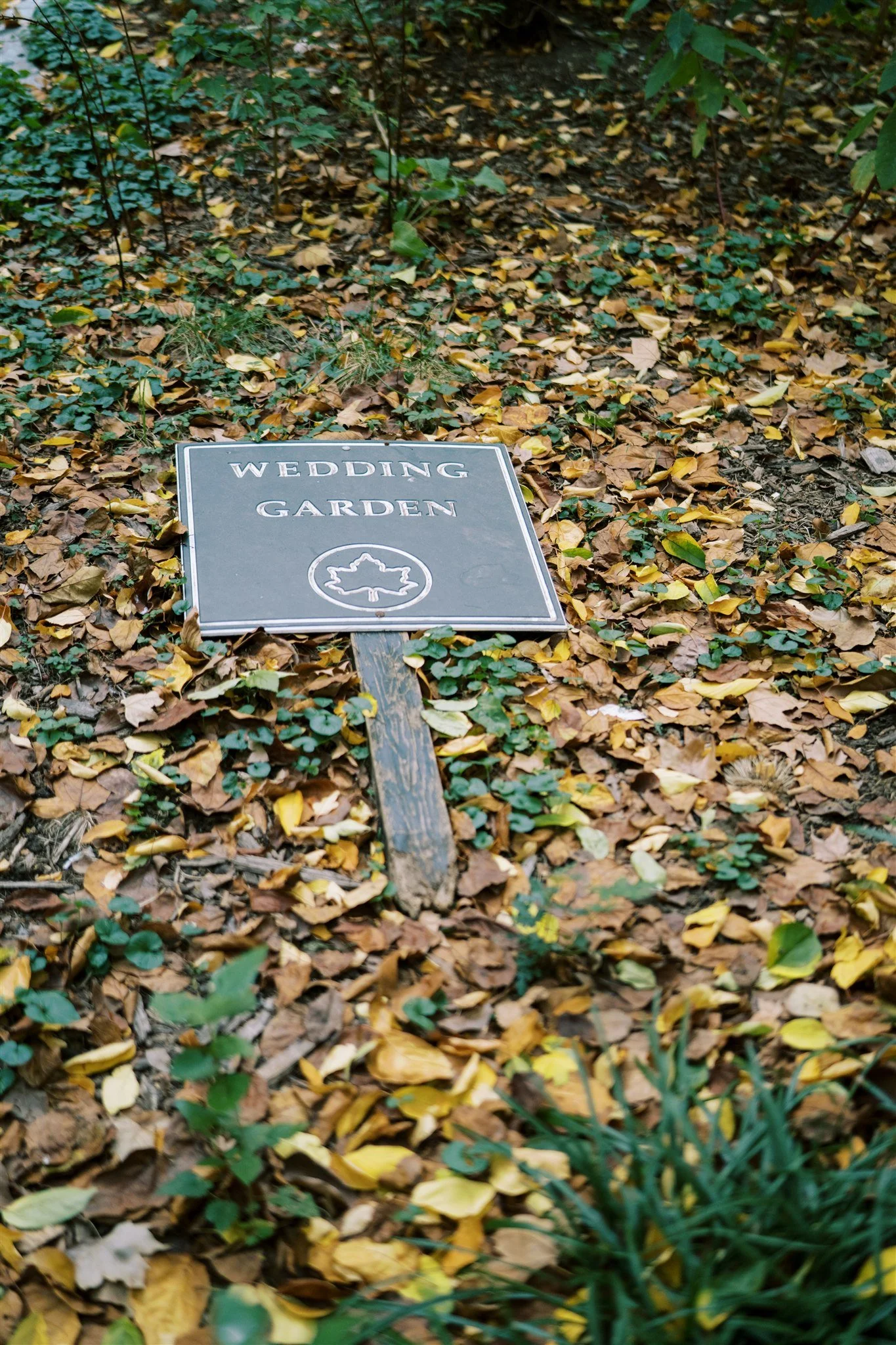 Close‑up of the 'Wedding Garden' plaque among fallen leaves. luxury wedding planner michelle rago nyc.