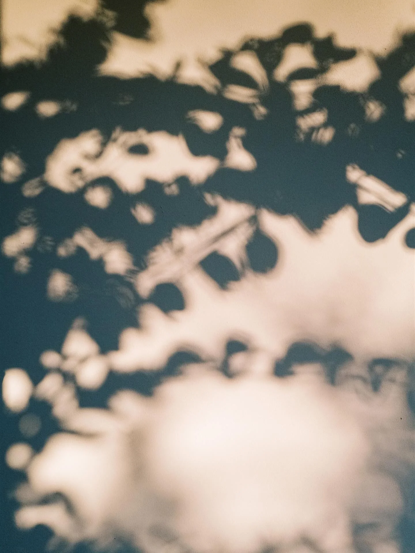 Last week I(James) found myself back in Riviera Nayarit&mdash;one of those places that just slows you down in the best way. Otto calls it home, but it is becoming a special place for me as well.

The people, the food, the pace of life&hellip; it all 