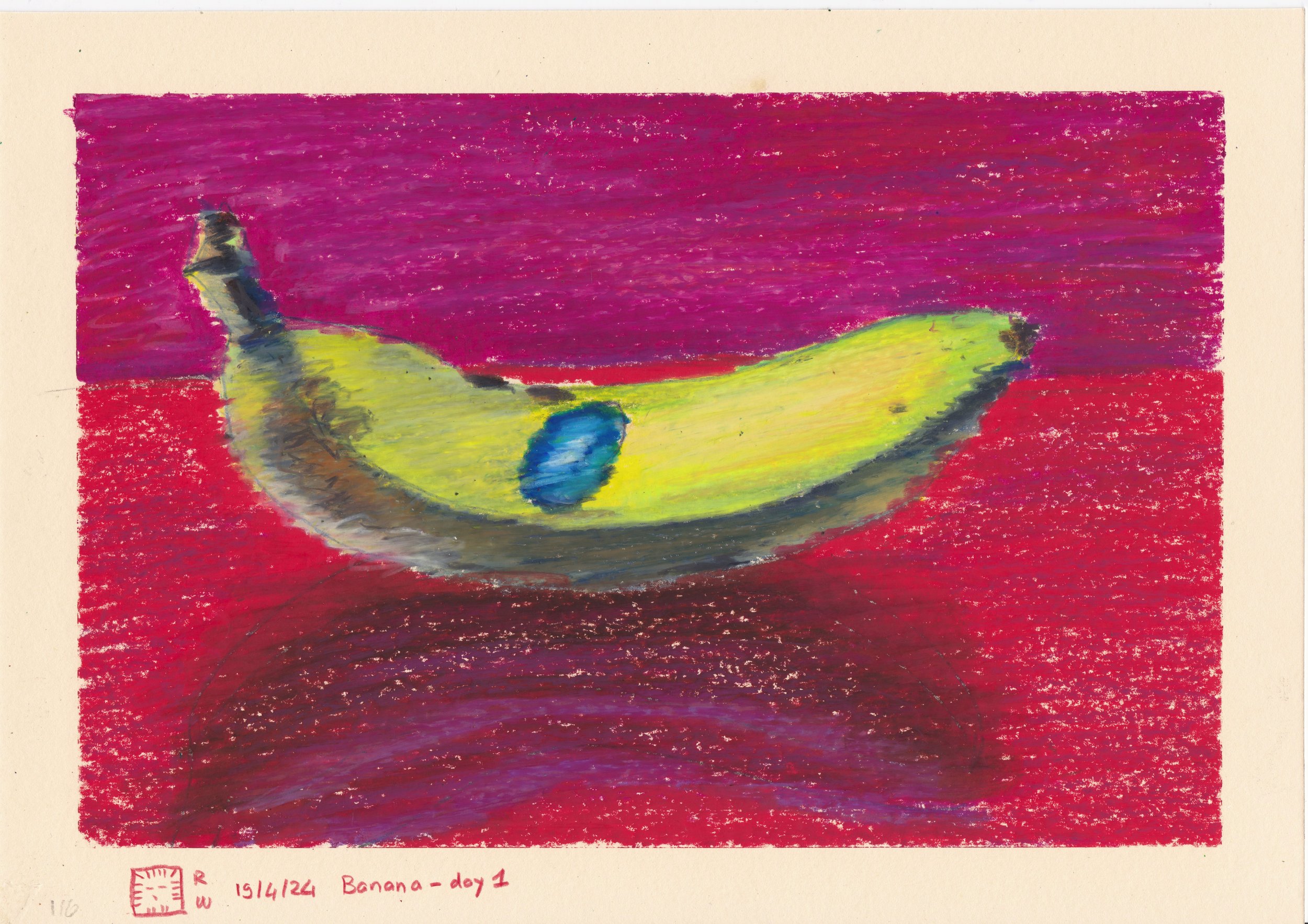banana_day1_24_04_19.jpeg