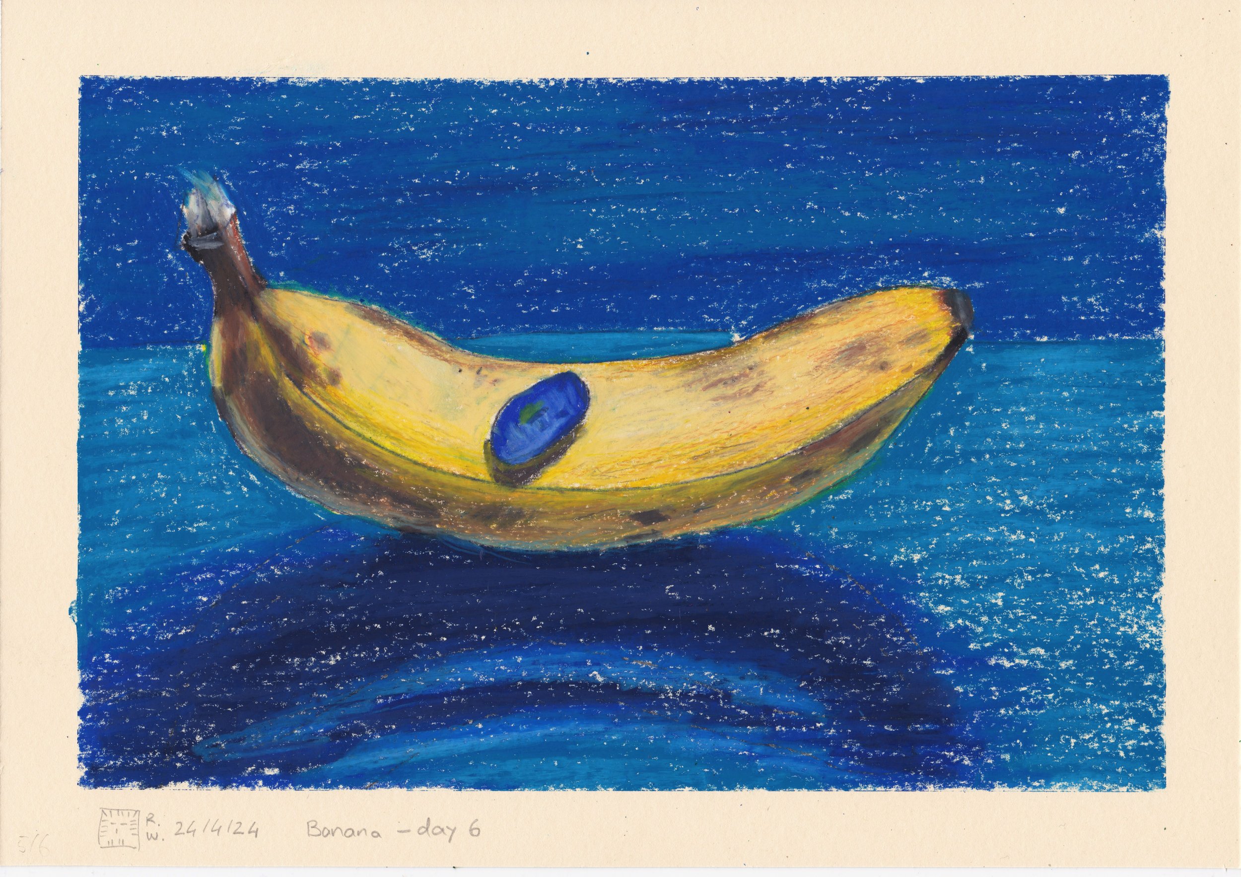 banana_day6_24_04_24.jpeg