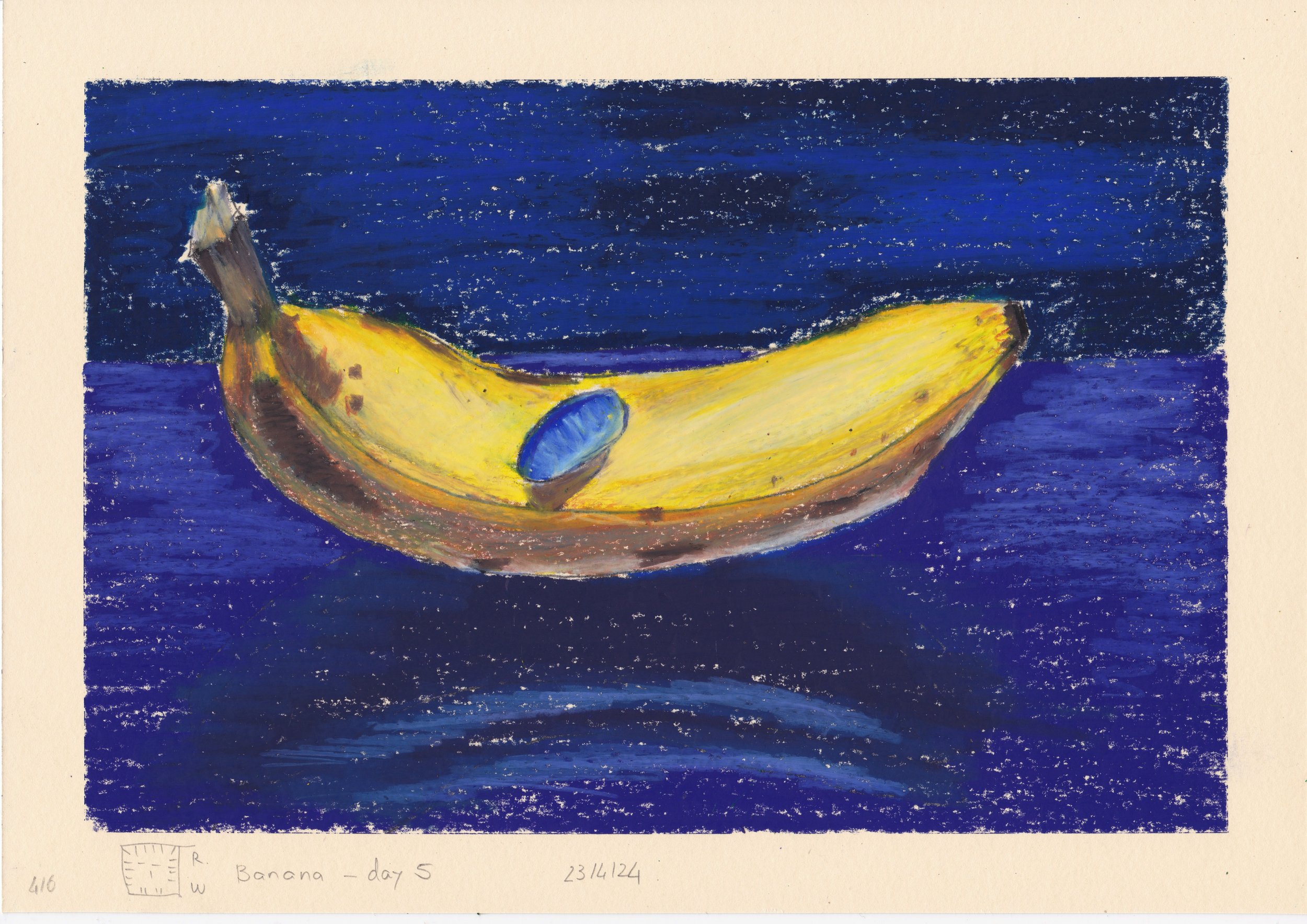 banana_day5_24_04_23.jpeg