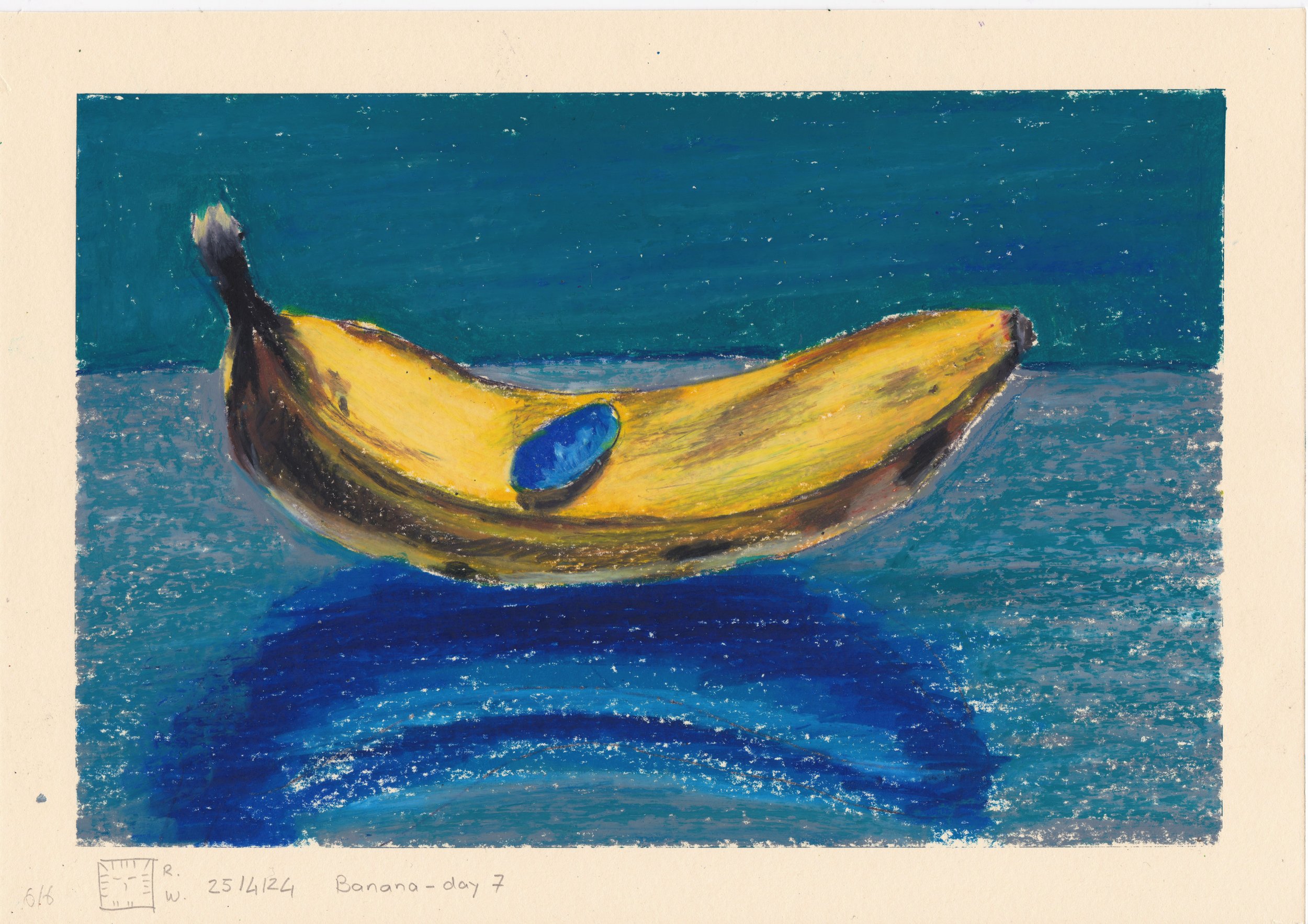 banana_day7_24_04_25.jpeg