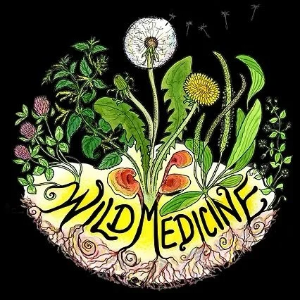 Wild Medicine Conference 