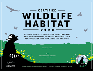 national-wildlife-foundation