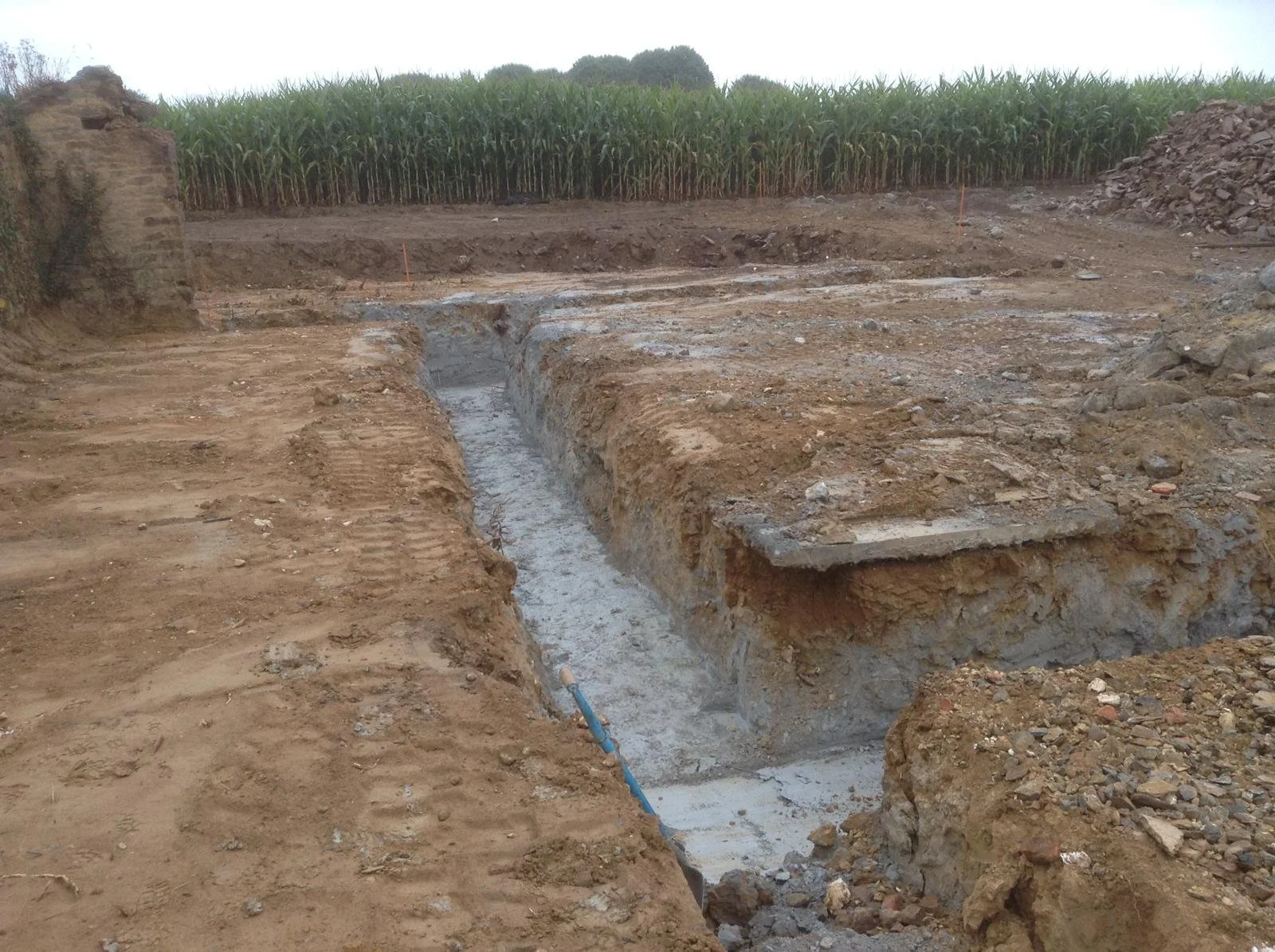 WhatsApp Image 2025-01-25 at 17.48.50 (1).jpeg