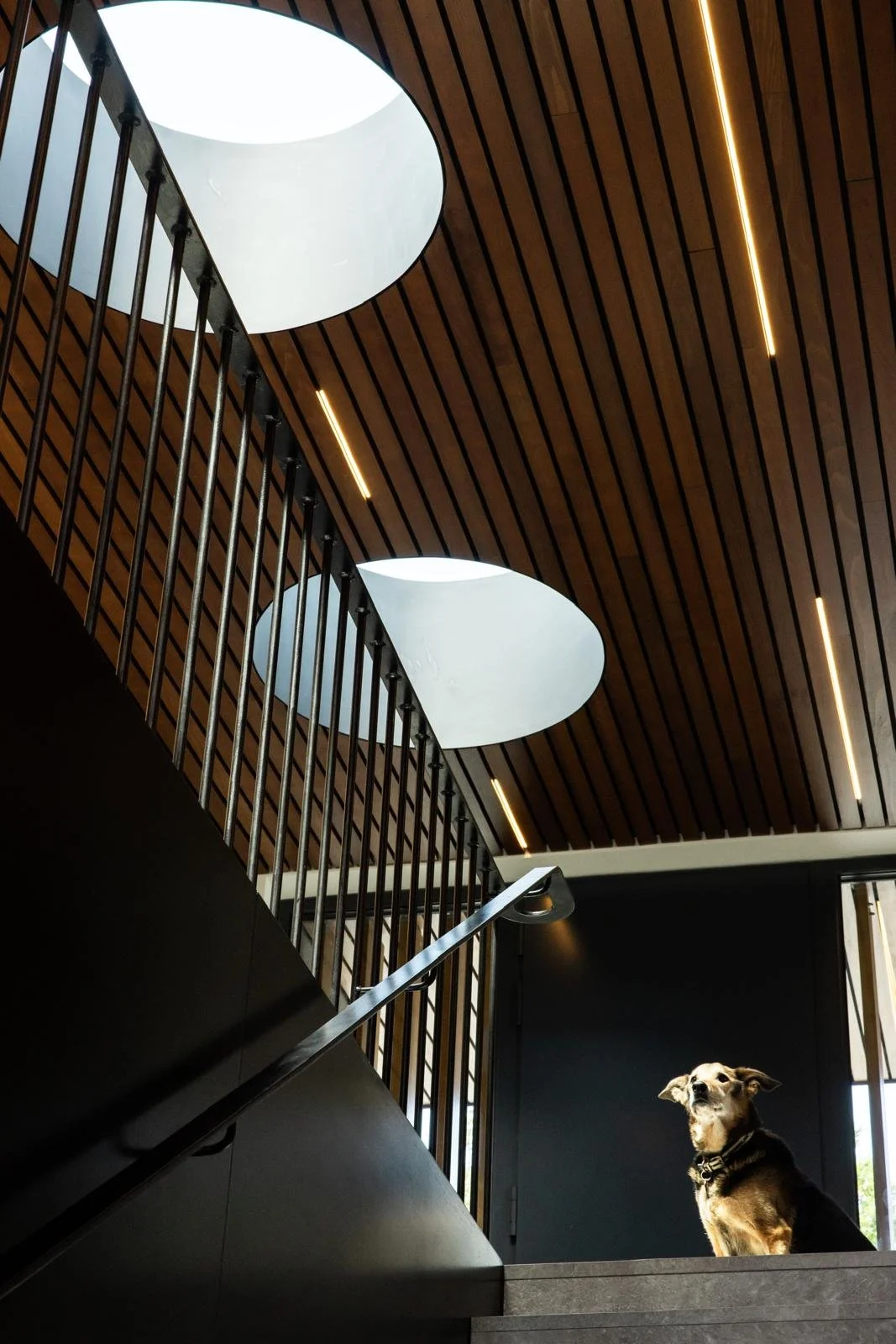 WhatsApp Image 2025-01-05 at 17.49.19 (16).jpeg