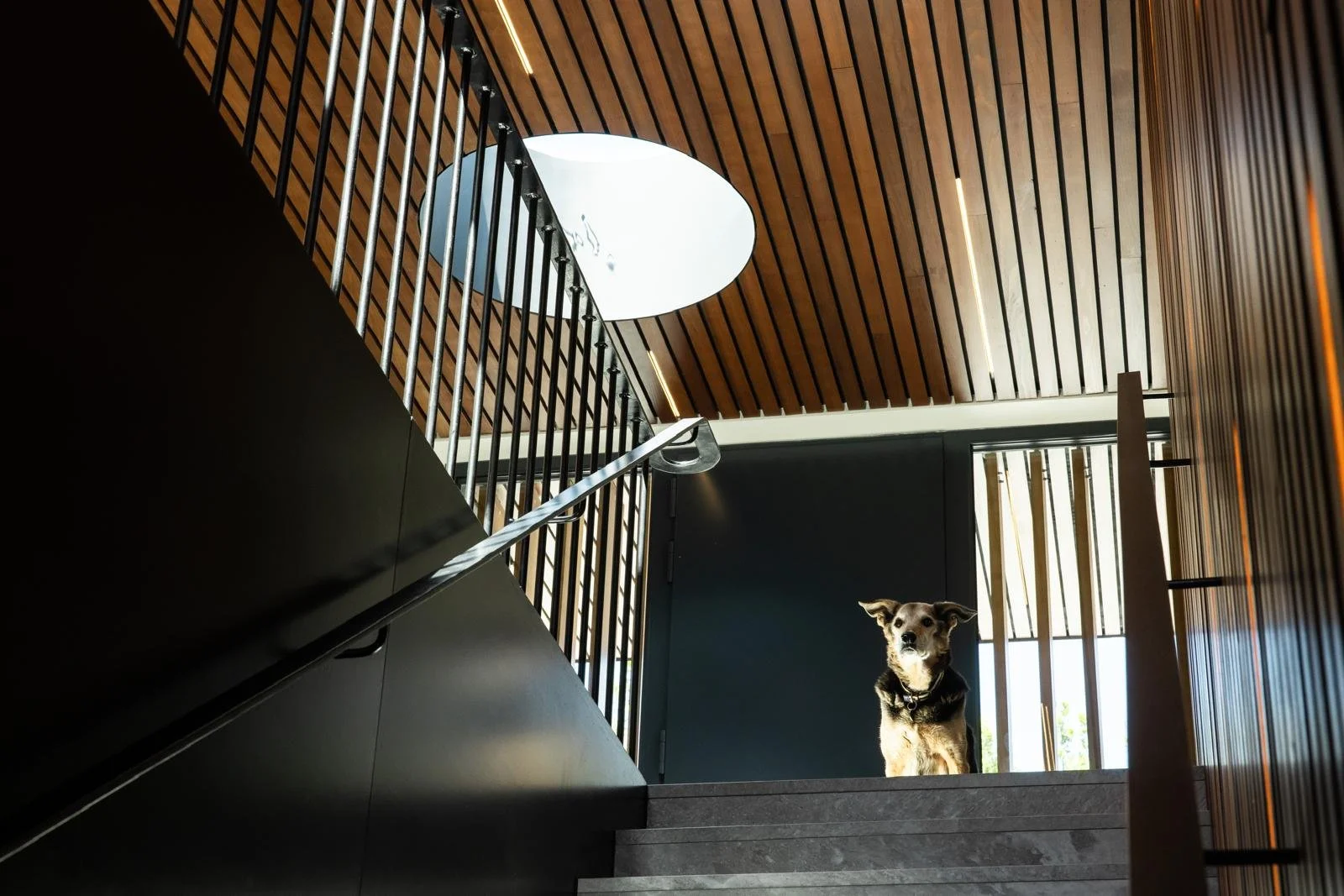 WhatsApp Image 2025-01-05 at 17.49.19 (26).jpeg